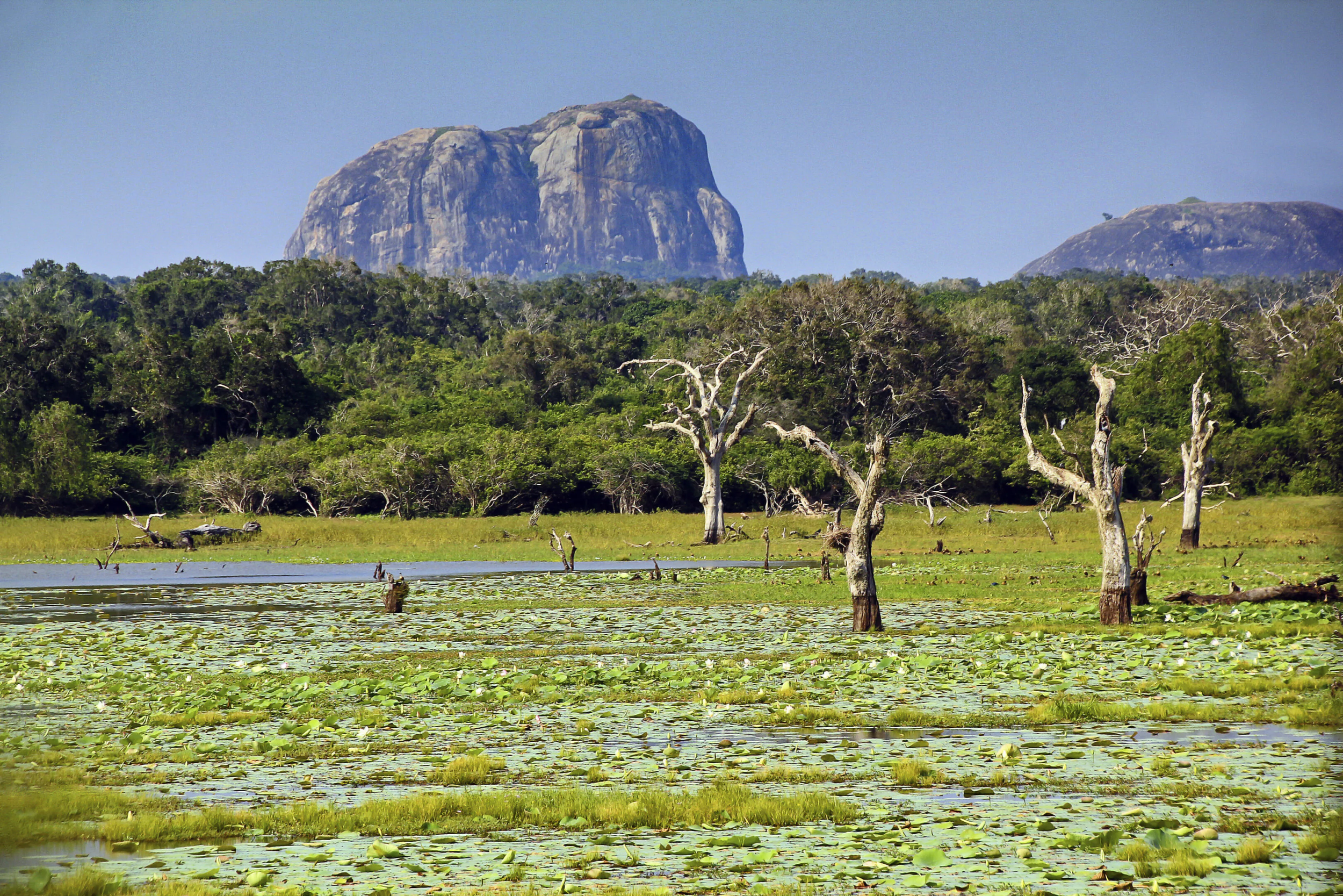 Yala_National_Park_Sri_Lanka_2012-przerobione.jpg.jpg
