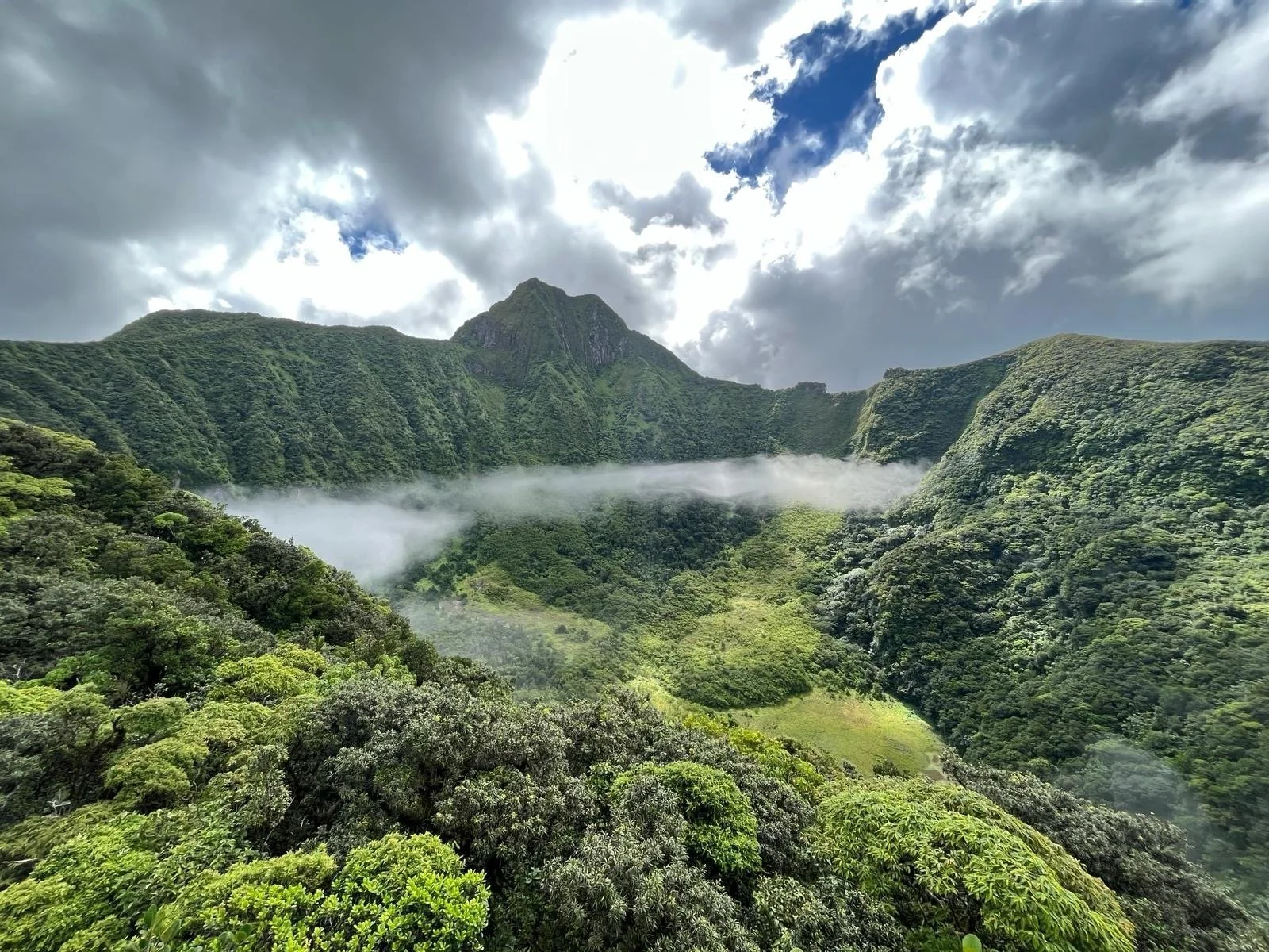 mount-liamuiga-volcano-hike-highest-point-on-st-kitts_NLtUd.jpeg