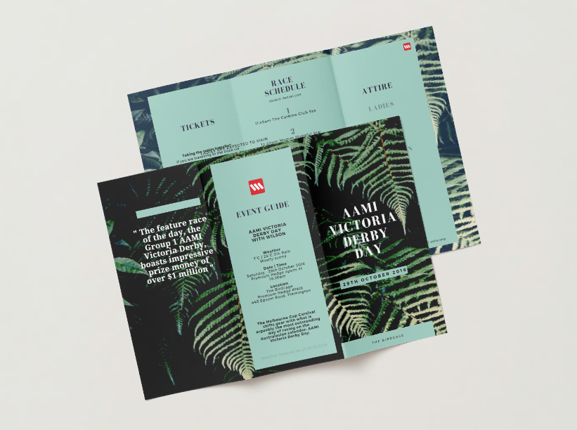 Brochure and ticket for the AAMI Victoria Derby Day event, held on October 29, 2016, with a tropical leaf design and event details.