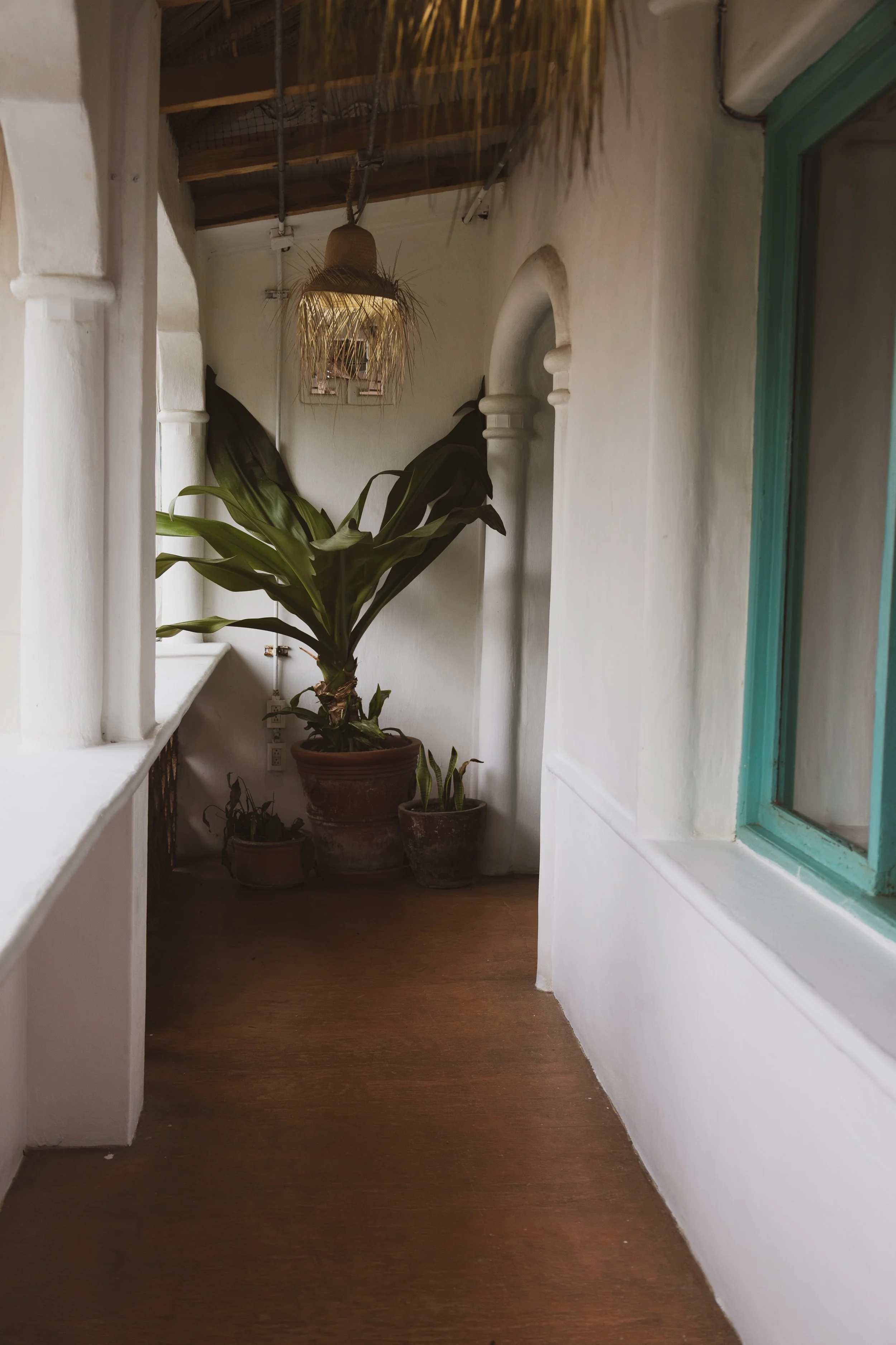 A small, narrow hallway with white walls and a green window frame. There are several large potted plants placed along the wall at the end of the hallway. The ceiling has exposed wooden beams and a hanging light fixture with a woven, straw-like lampsh