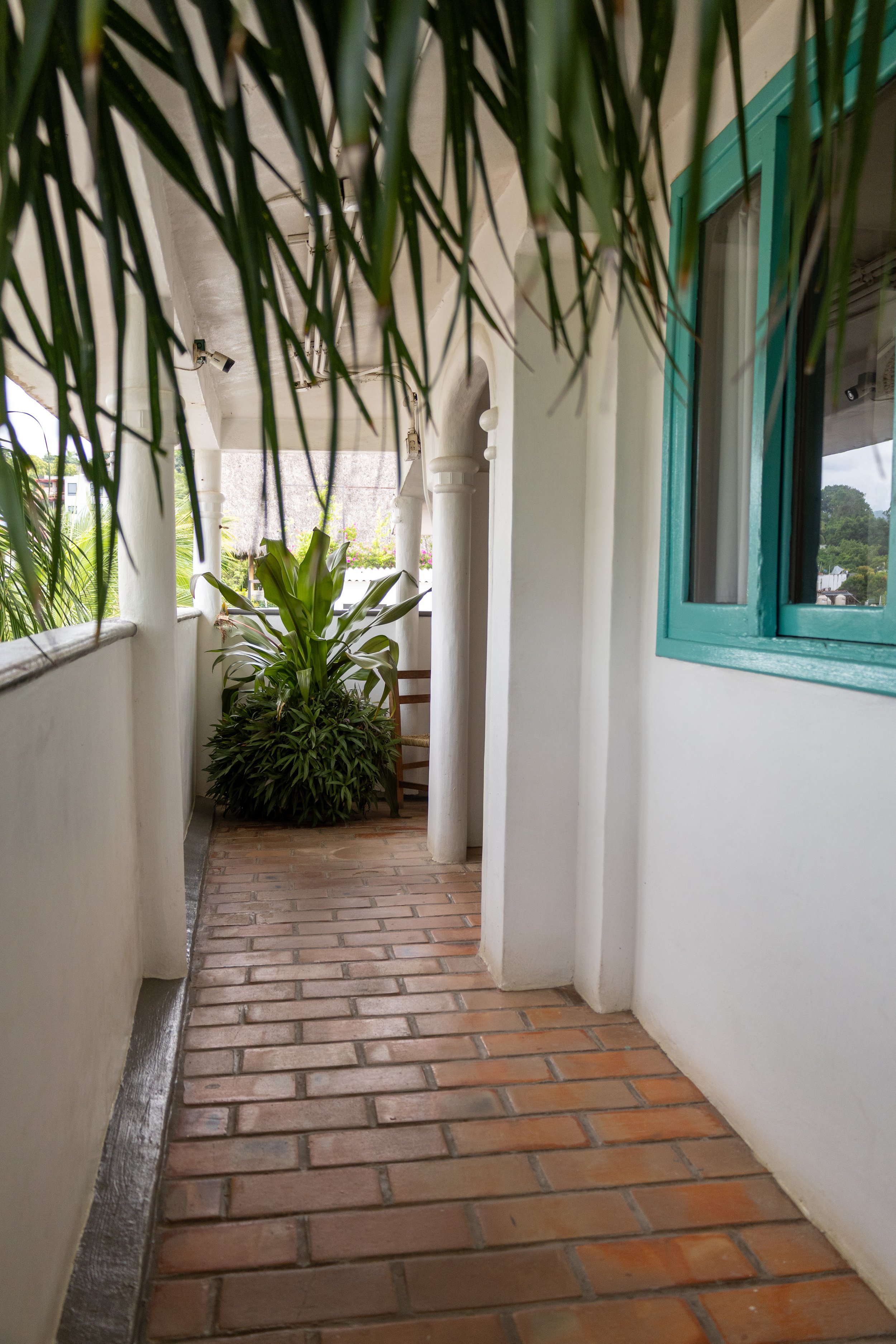 A porch with a brick floor, white walls, and green window frame, decorated with plants and a wooden ladder, overlooking a green landscape.