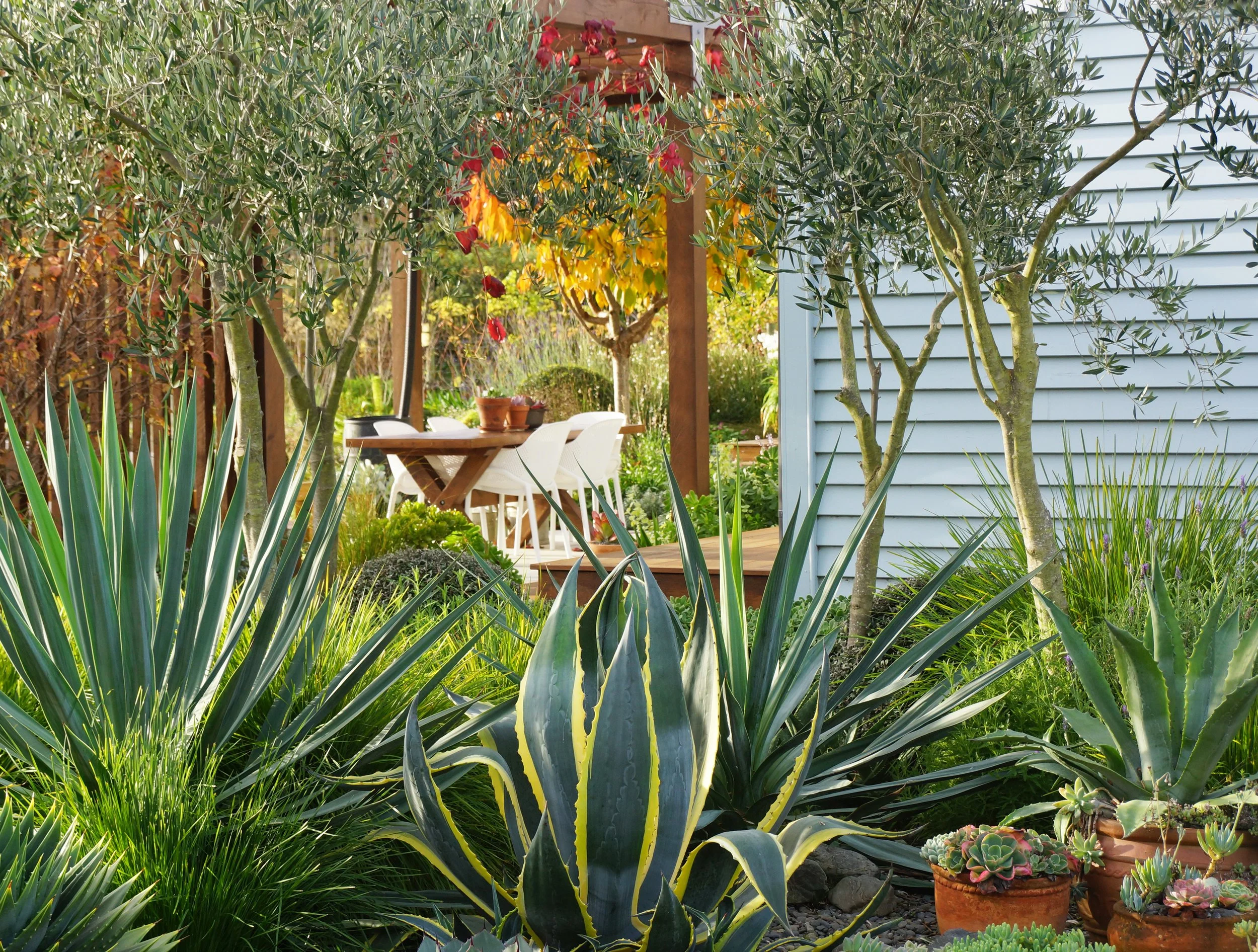 View through the gravel garden.