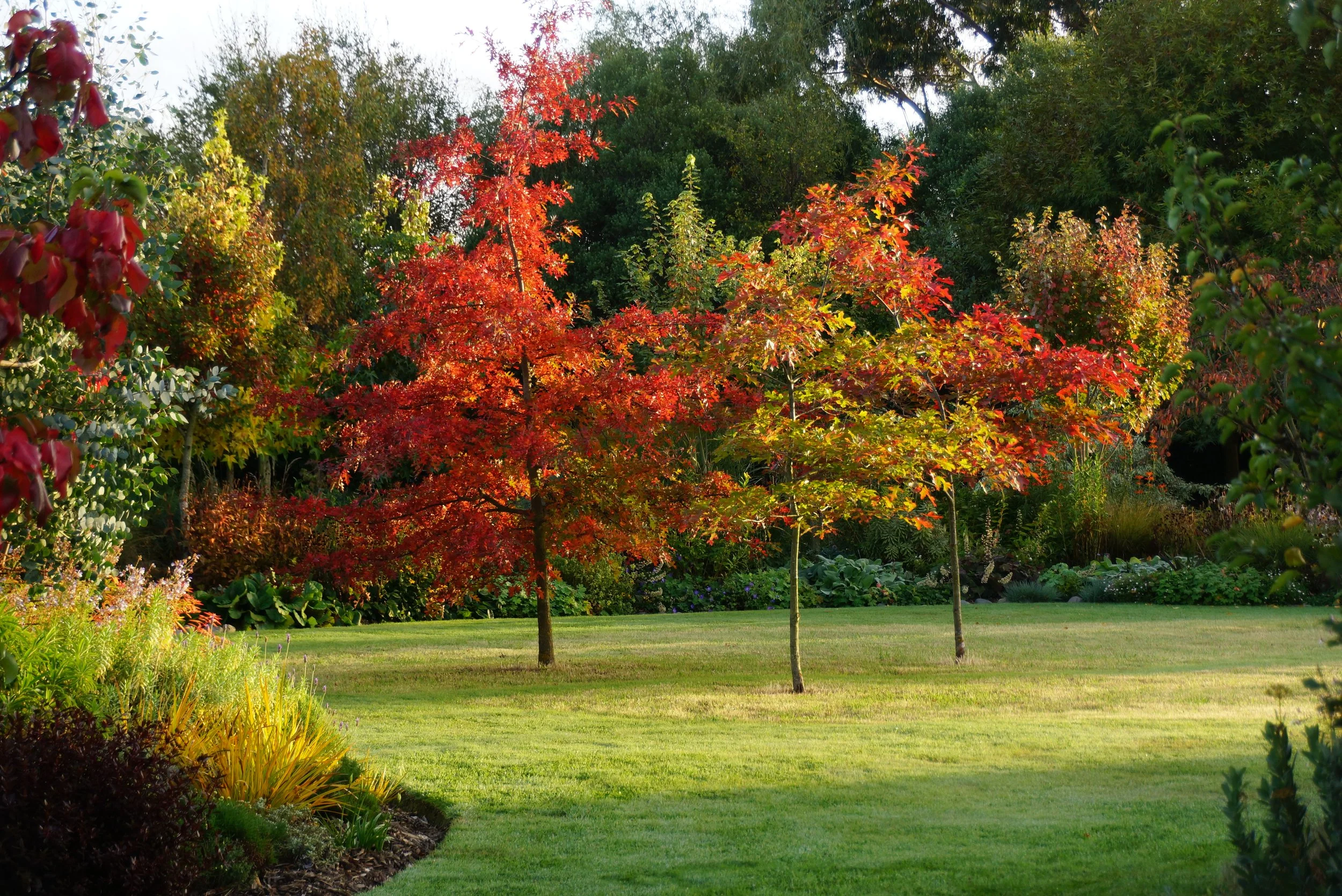 By April you can't tell it was ever there.