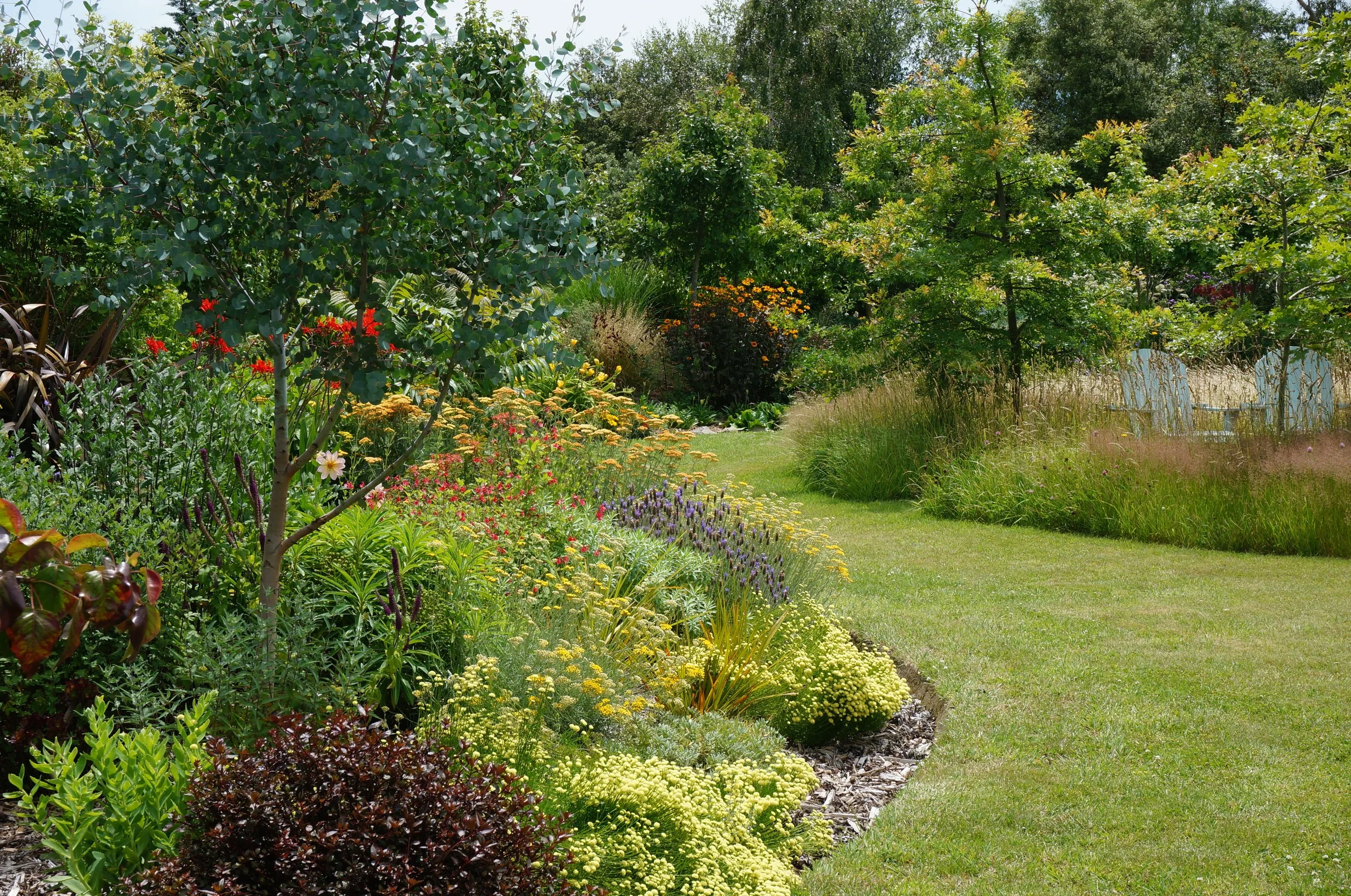 Year two and starting to show some promise.