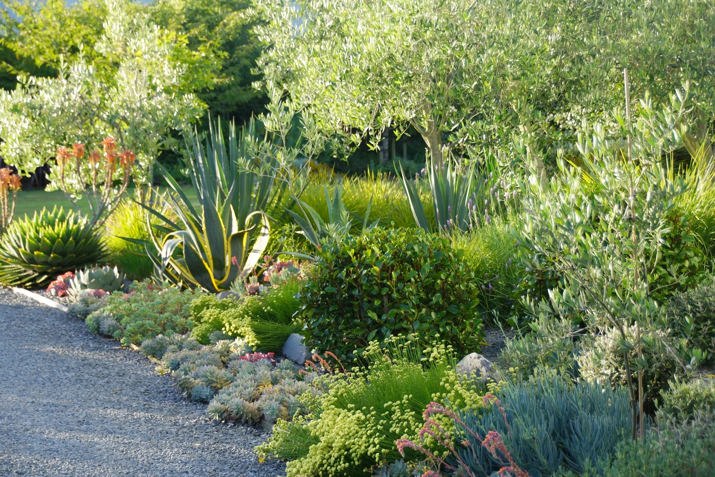 But then I began to read about Beth Chatto.....