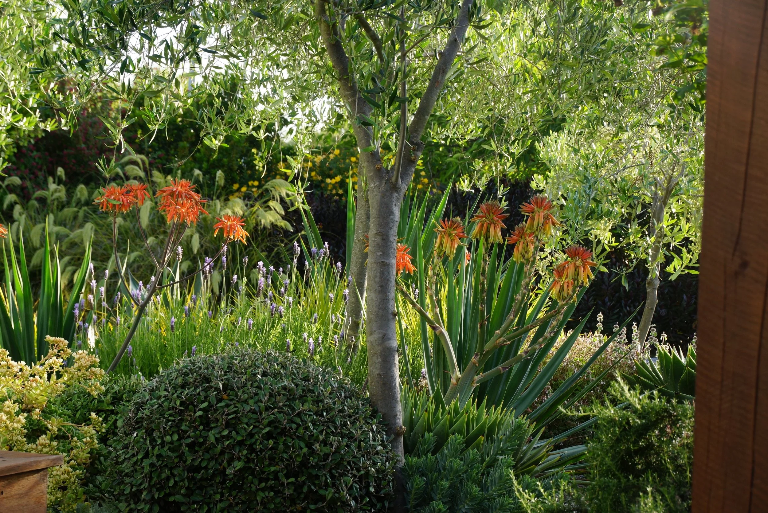 I really enjoy the unusual shapes and colours