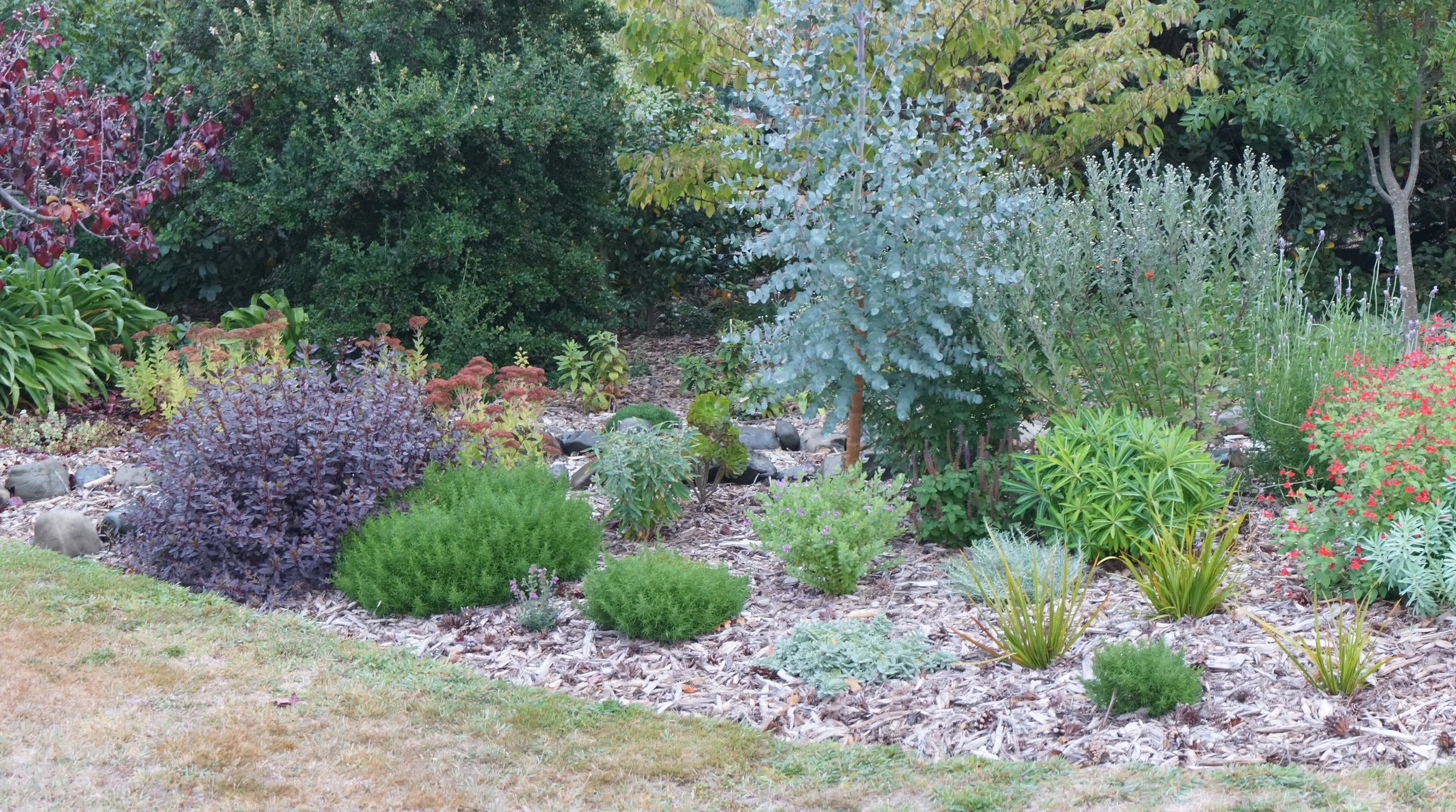 The first year was extremely dry, but I didn't put on a hose.