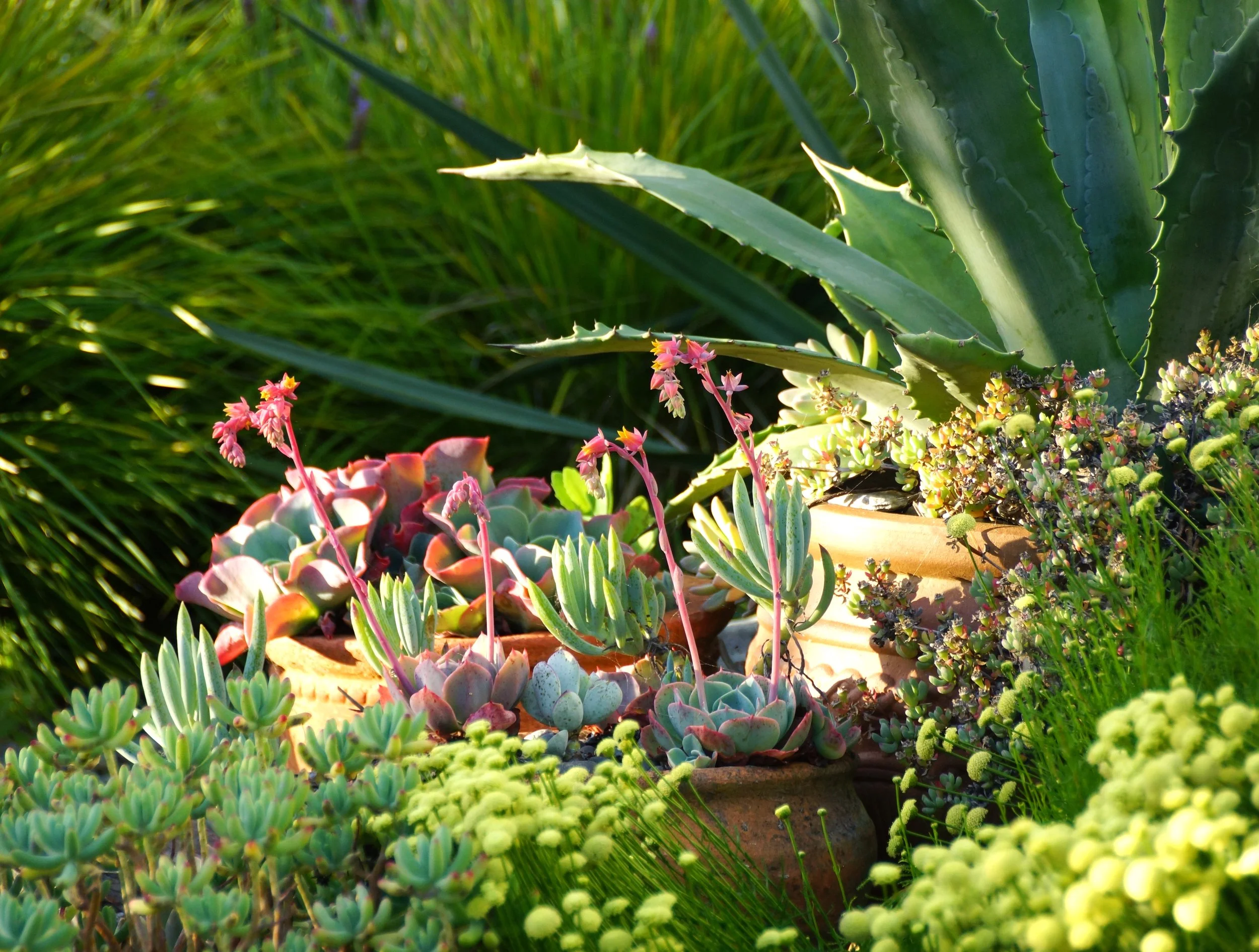 But now this is one of the easiest and most rewarding parts of the garden.