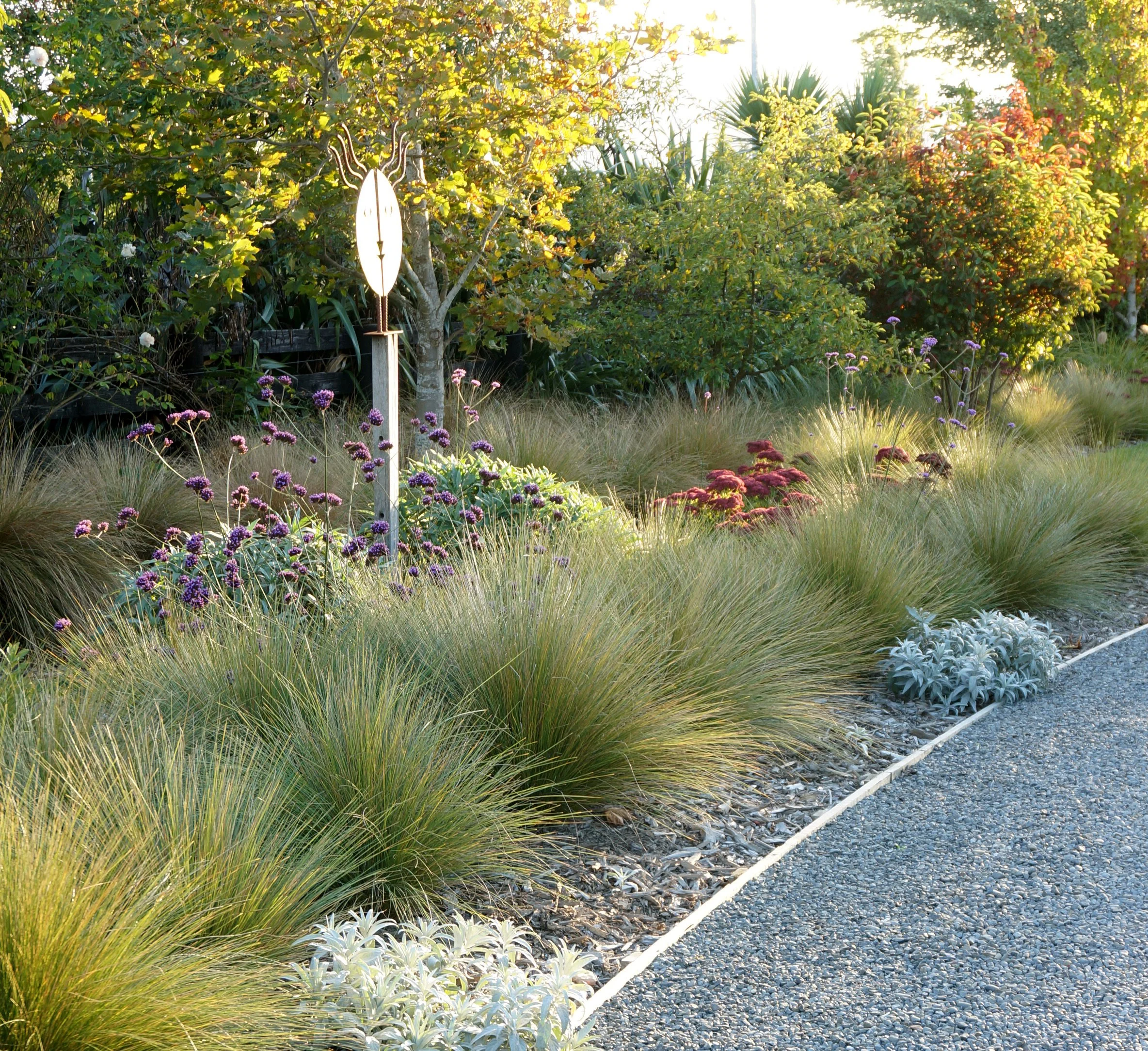 Autumn of year one with sedum beginning to show.