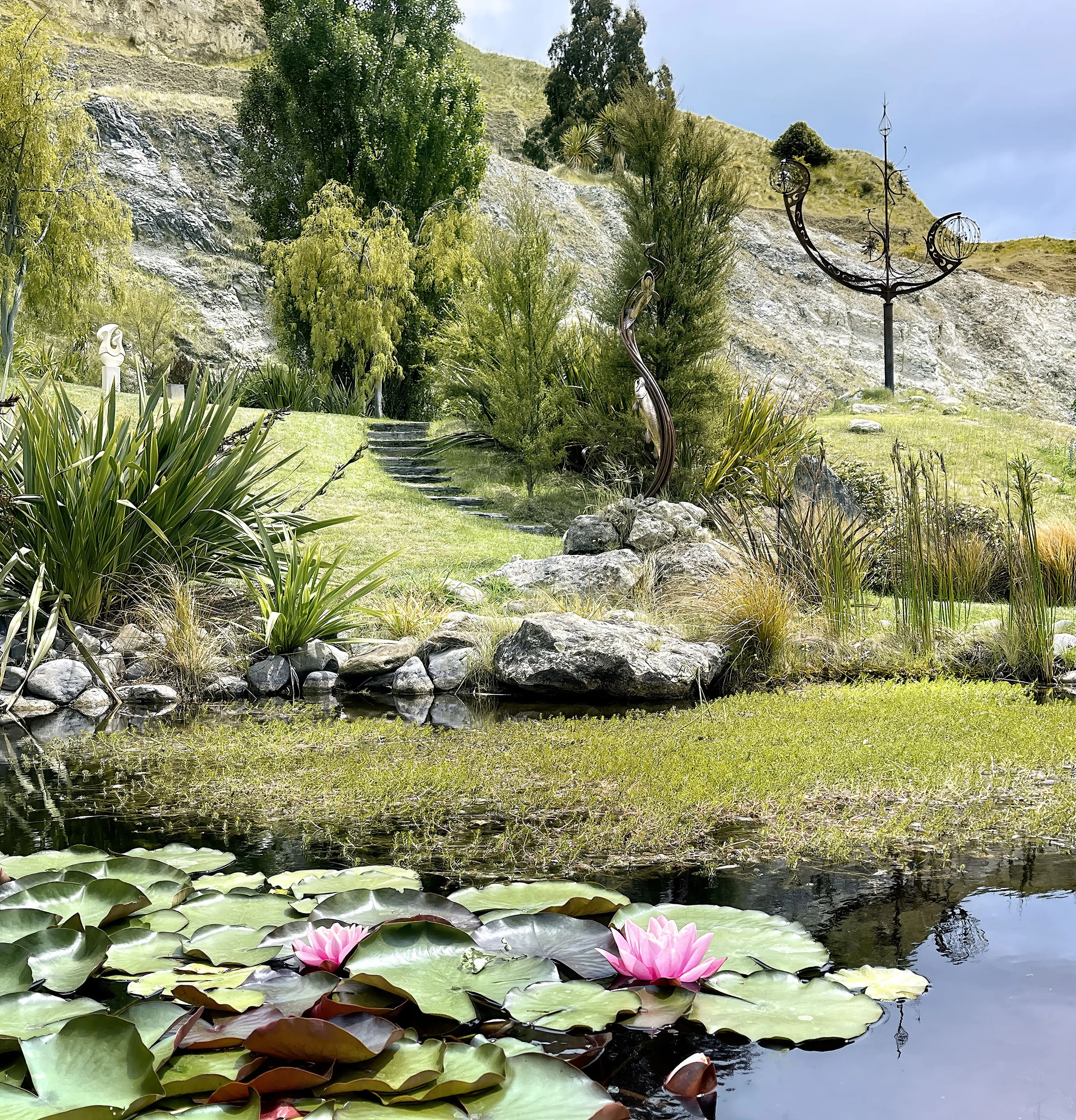 park and water lilies and fish.jpg