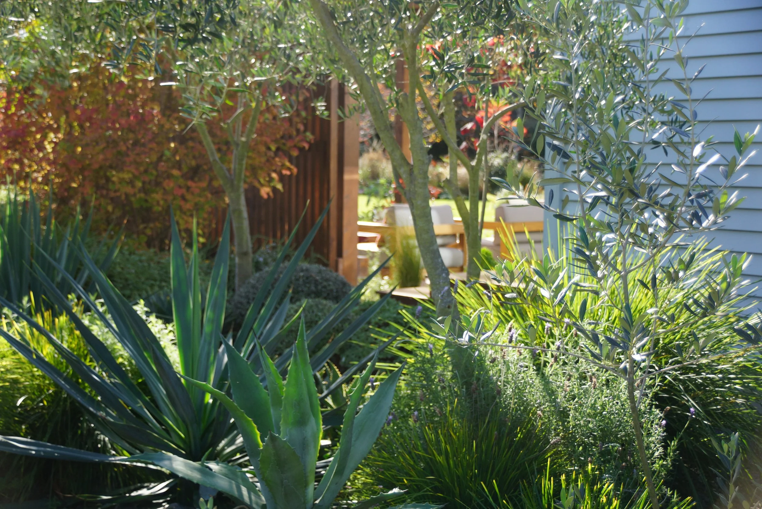 And Olivier Filippi.