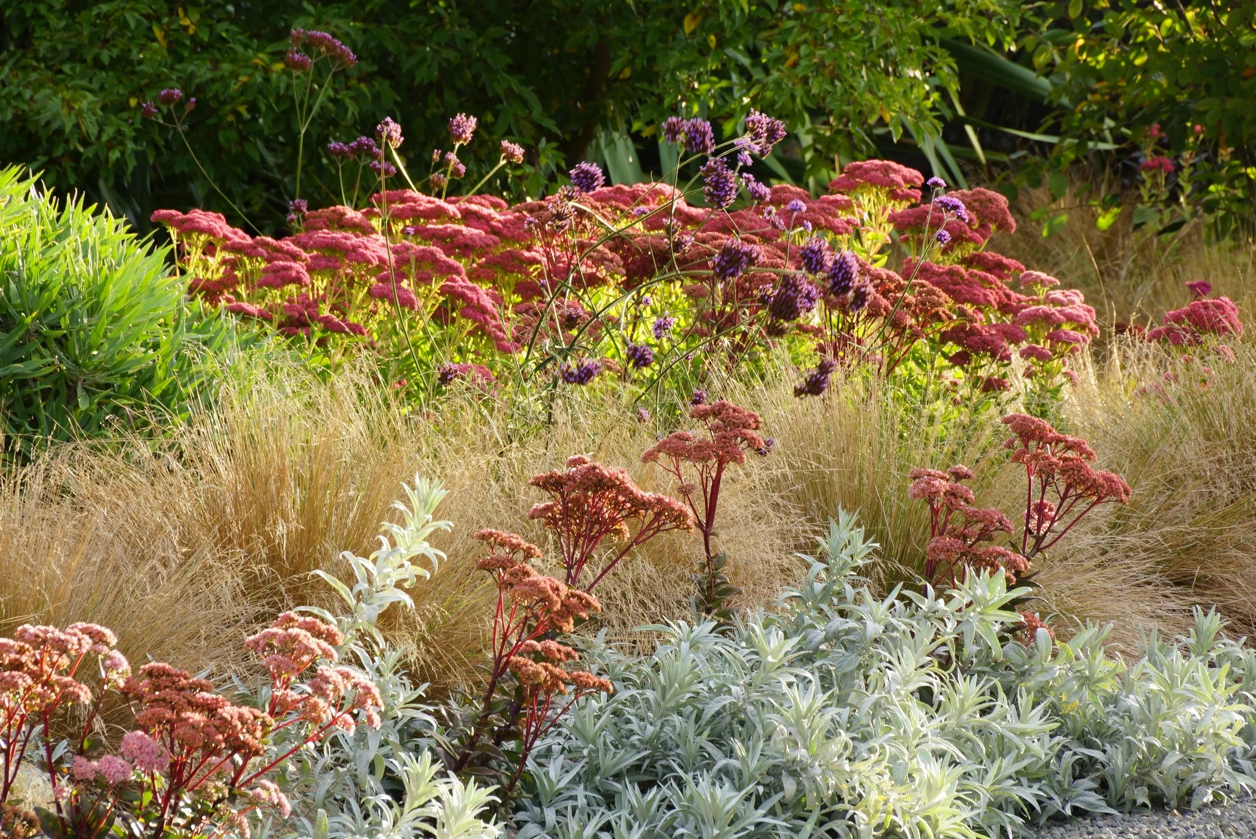 Early autumn in year three. I tried to keep this planting palette simple and strong.