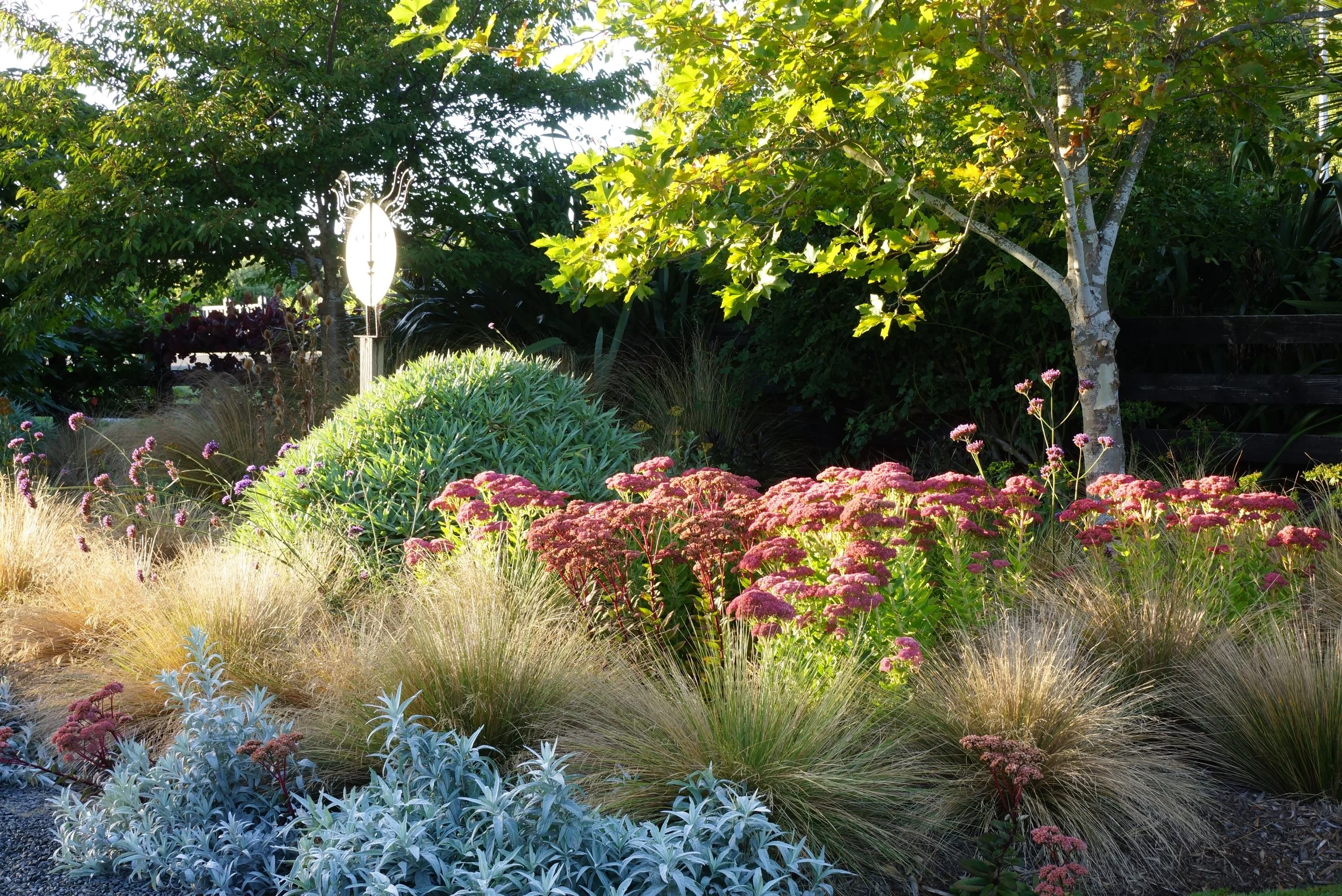 Year two and the sedum, artemesia Valerie Finnis and echium are really working well together. 