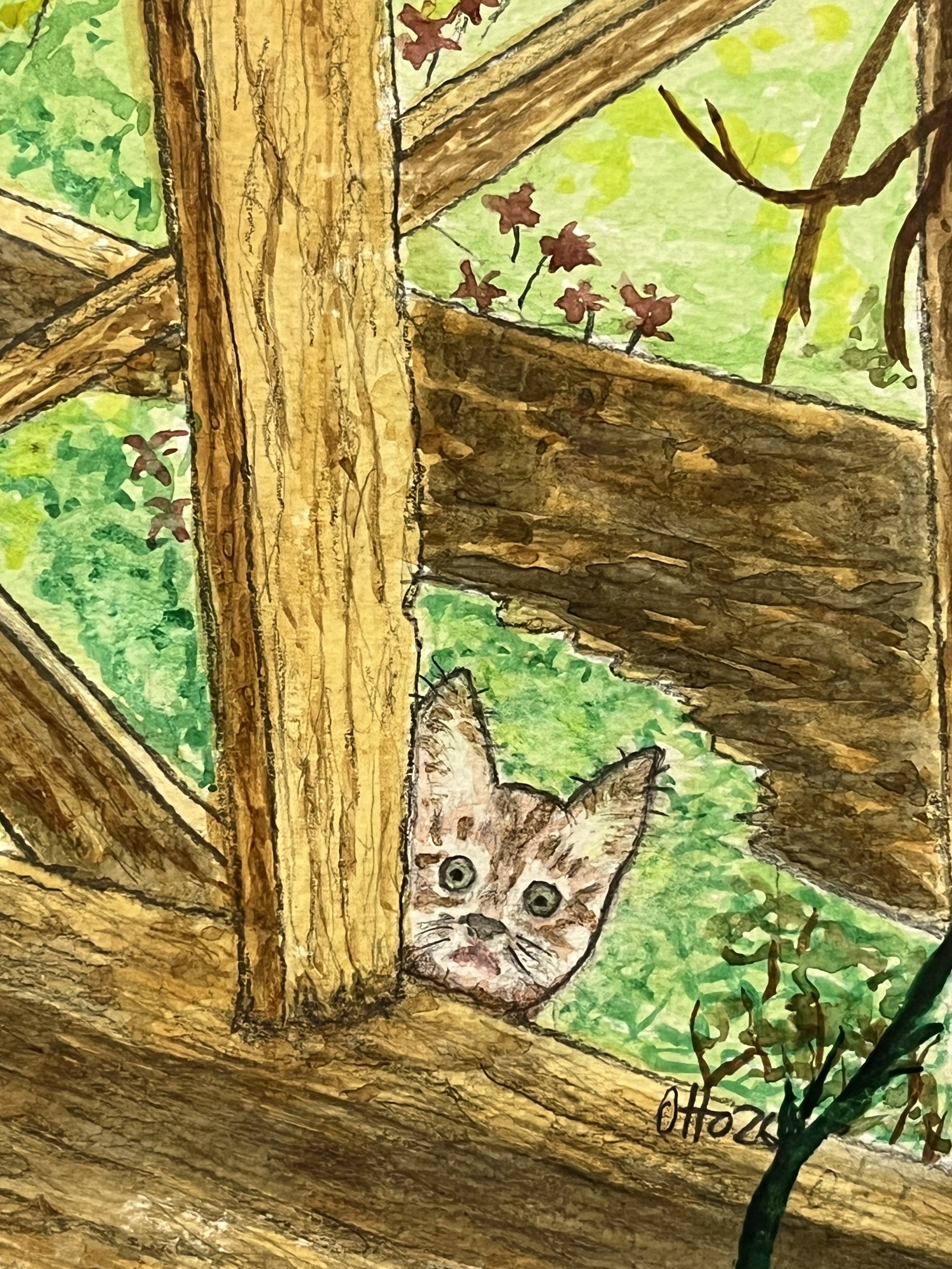 Grandpa Otto - That Barn Cat close.jpeg