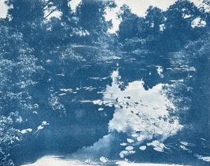 The Preserve Waterway by  Jennifer Douglas-1.jpeg