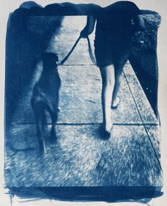 The Walk by Jennifer Douglas.jpeg