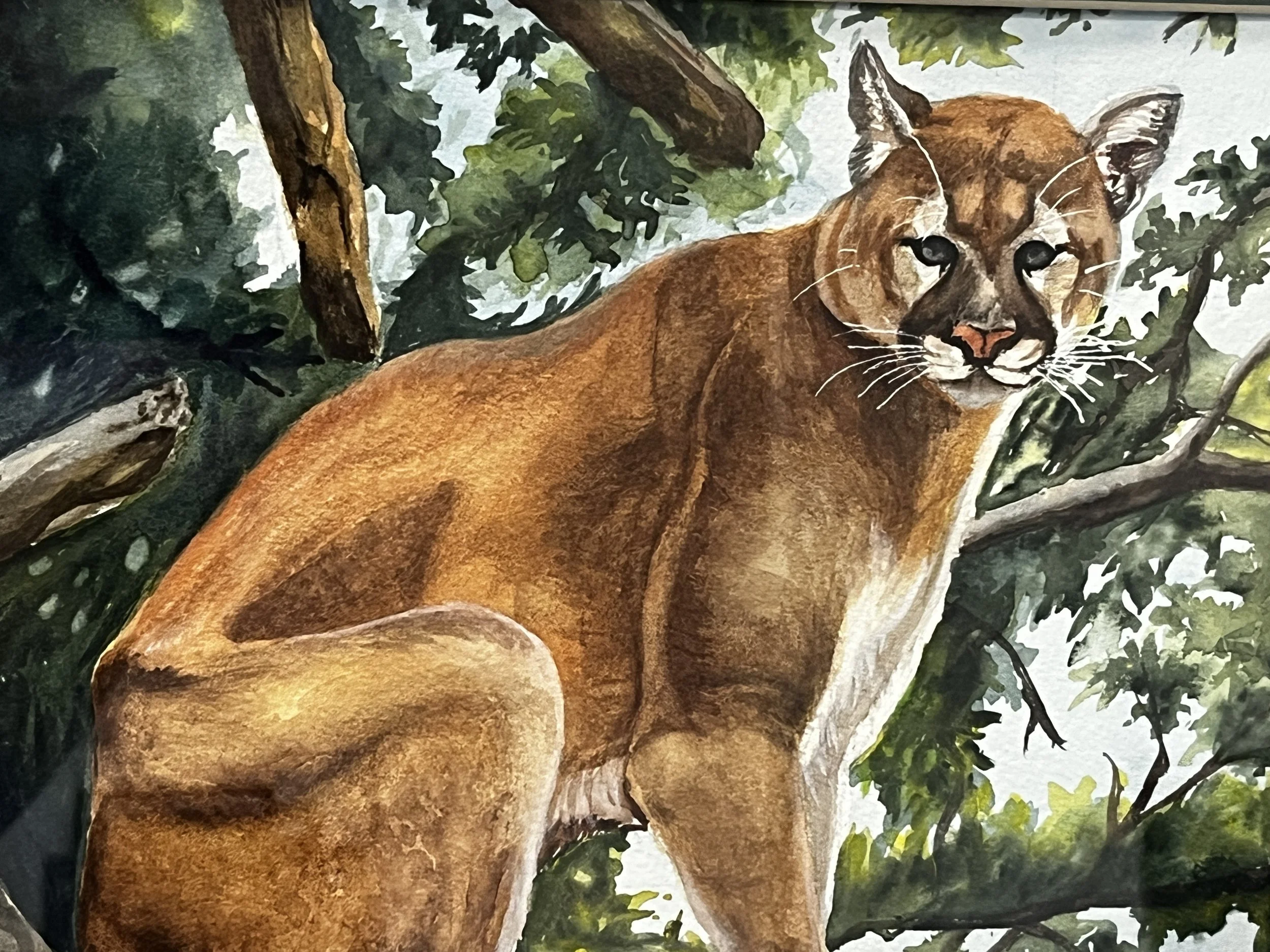 Candi Cardenas - Edge of the Wild close details.jpeg