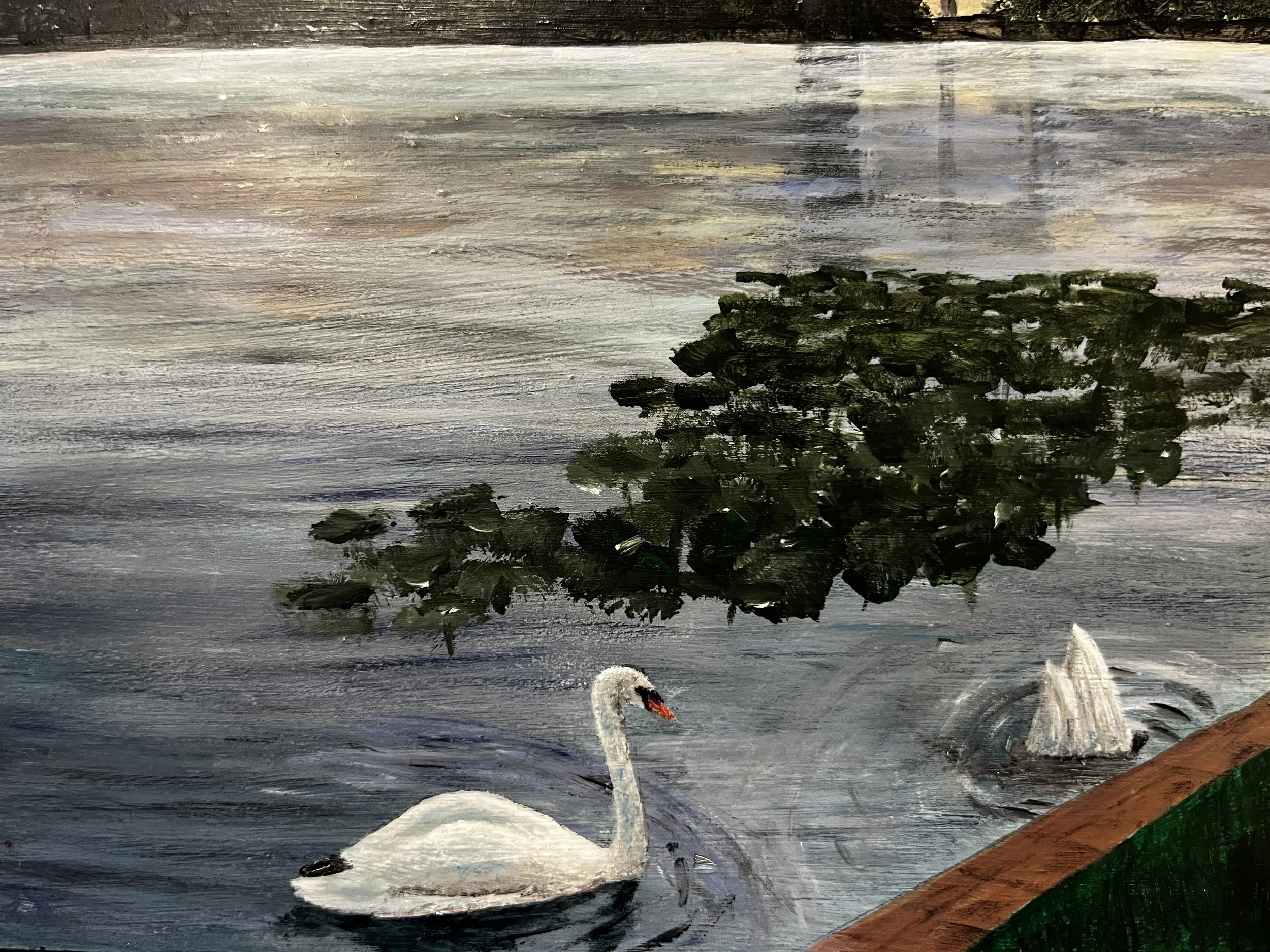 Jennifer Milone - Swan Lake upclose.jpeg