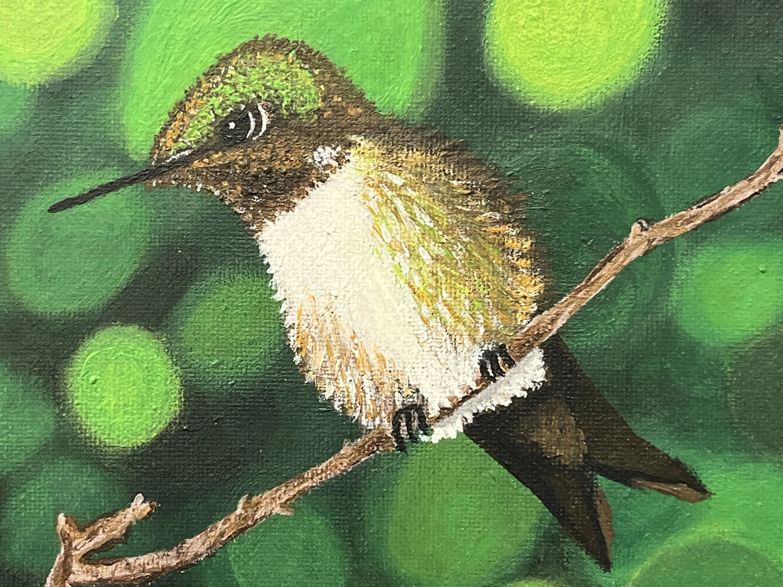 Tracy Kay - Hummingbird close.jpeg