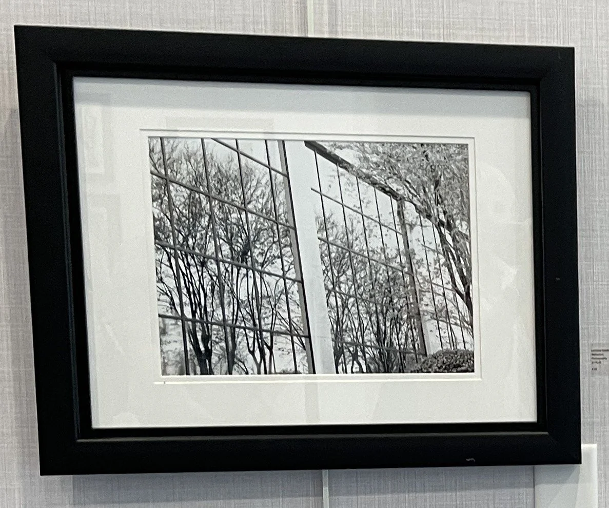 Lorraine Goldberg - Reflection.jpeg