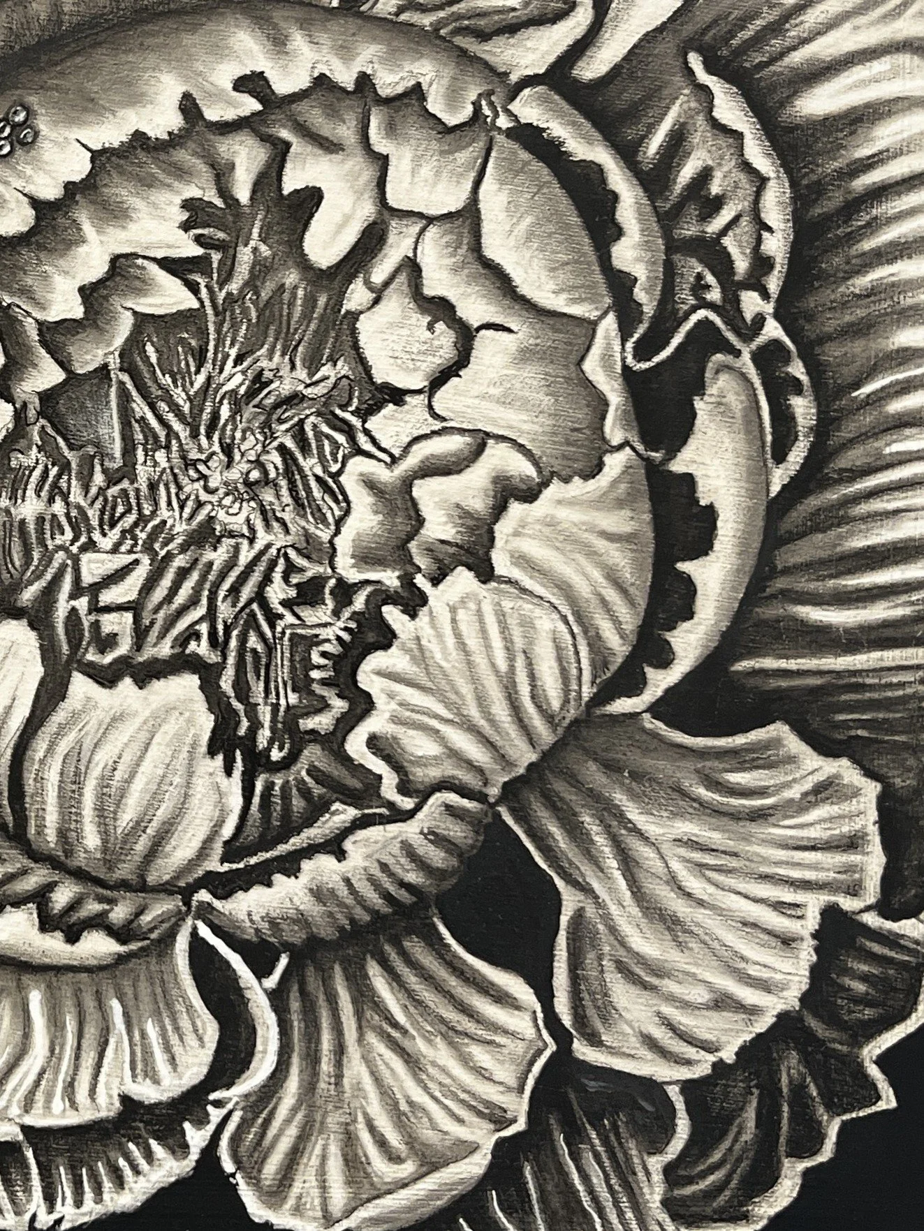Chalah Dicesare - Peony close.jpeg