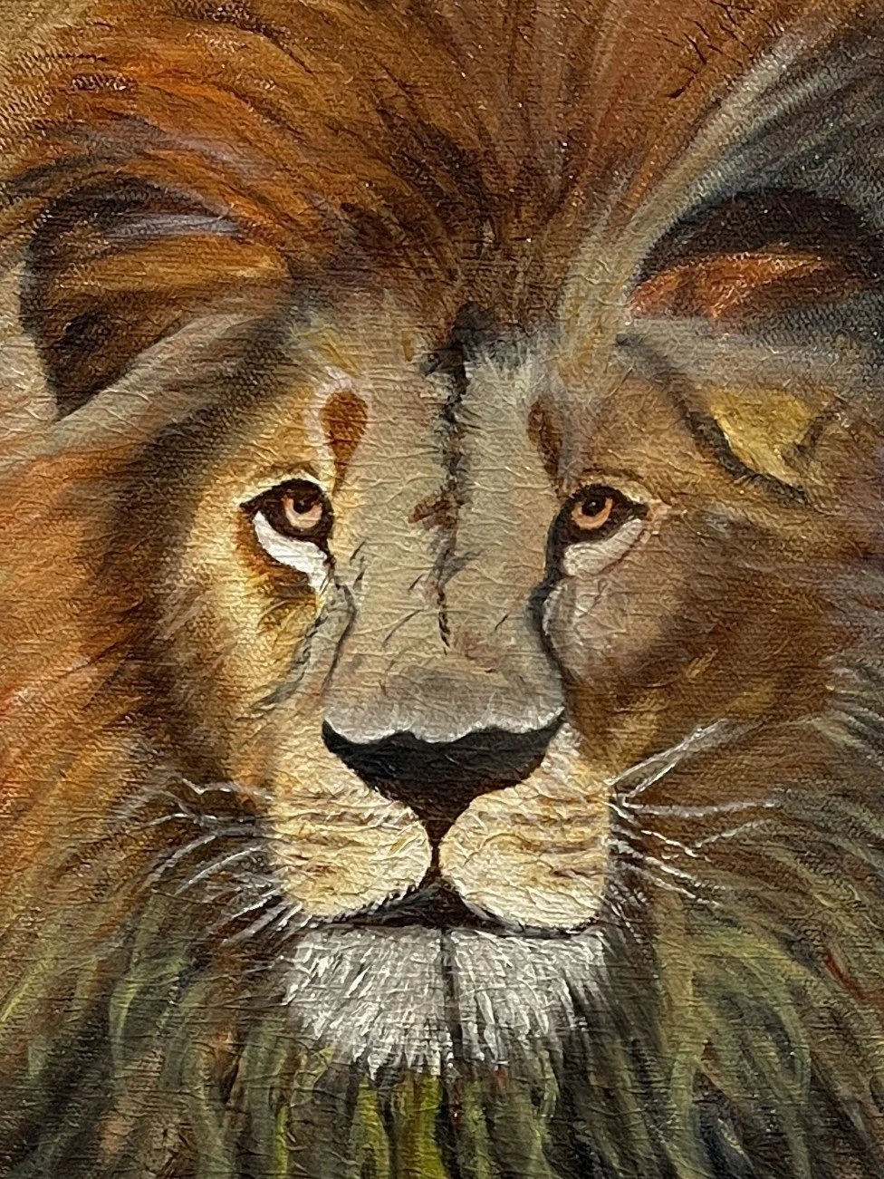 Rebecca Williamson - Judah close.jpeg
