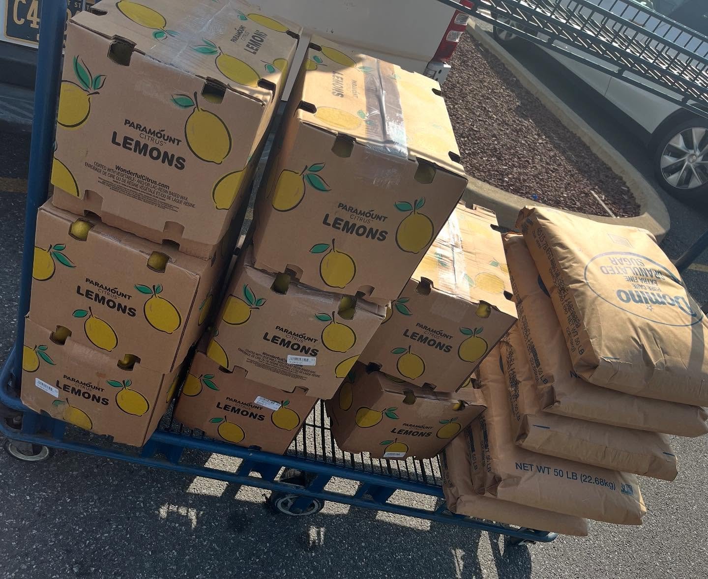 It’s hot and the flower market is close. Let’s go! #theonetheonly #shakeandsqueeze #teamlemon
@wilmingtonflowermarket