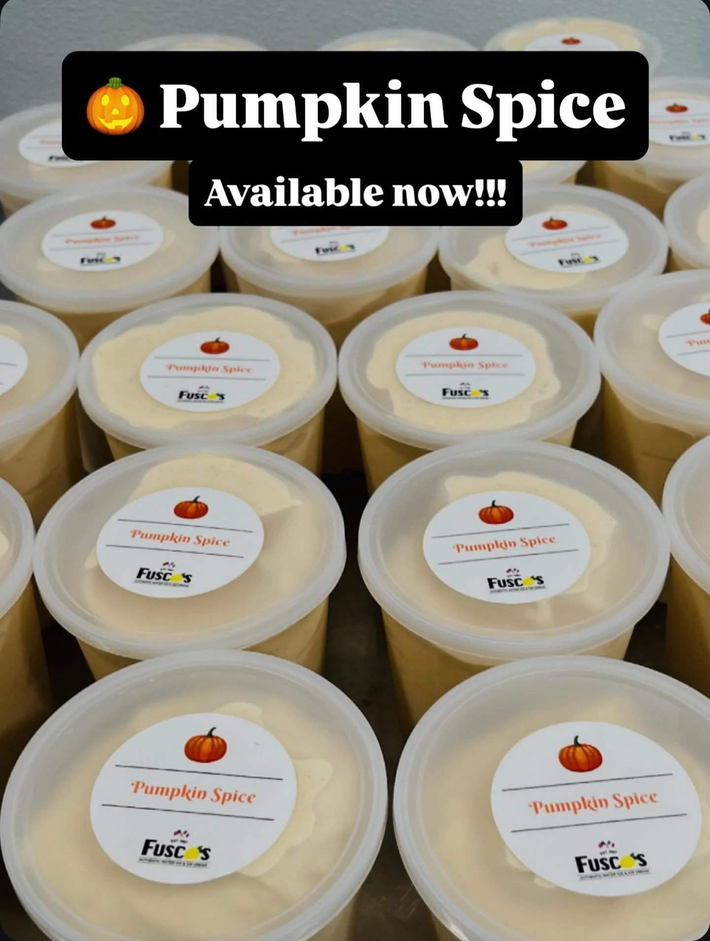 Homemade Pumpkin Spice Ice Cream. Real Pumpkin, Real Spices, Real Pie Crust. Gluten Free!
Scoops, cones, affogato’s or milkshakes…take your pick!
