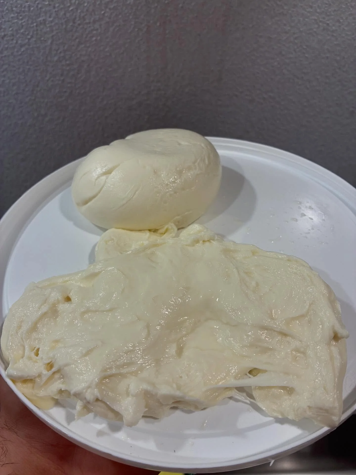 Fresh mozzarella ready and available this week while it lasts!