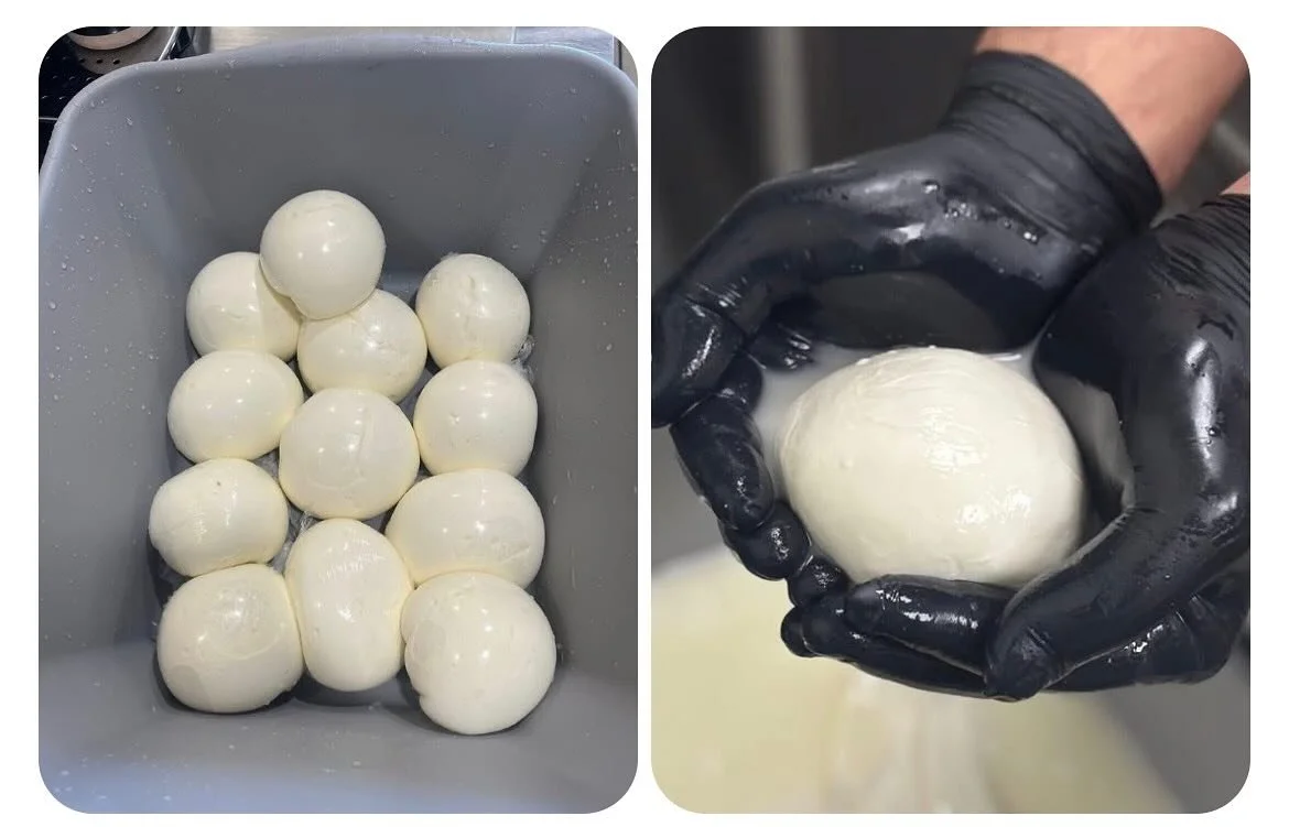 ⭐️ Preorder your Fresh Mozzarella for Thanksgiving!!! 

Approximately 9oz balls, $8 each. Made by hand. Size may vary.

Order by Nov 20th. Pick up between Nov 23-26.

Please email fuscositalianice@gmail.com - DM - or call the store 302-510-6003 (leav