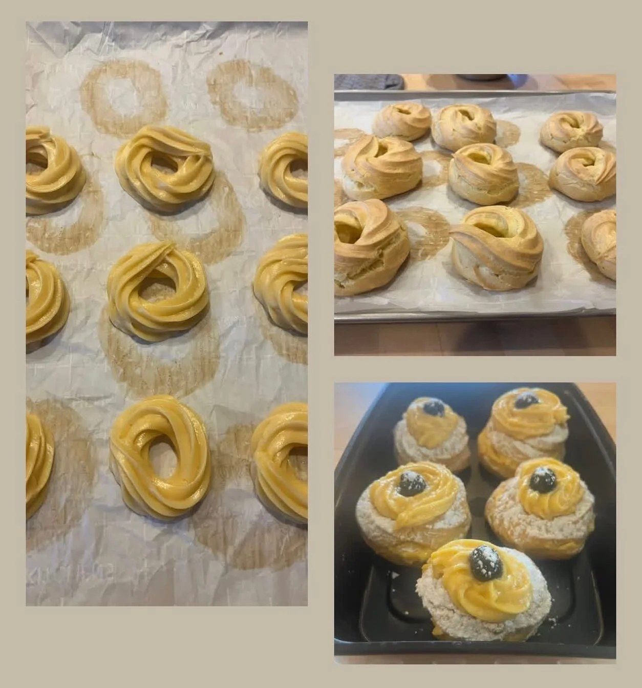 San Giuseppe Zeppoli this year at the store???