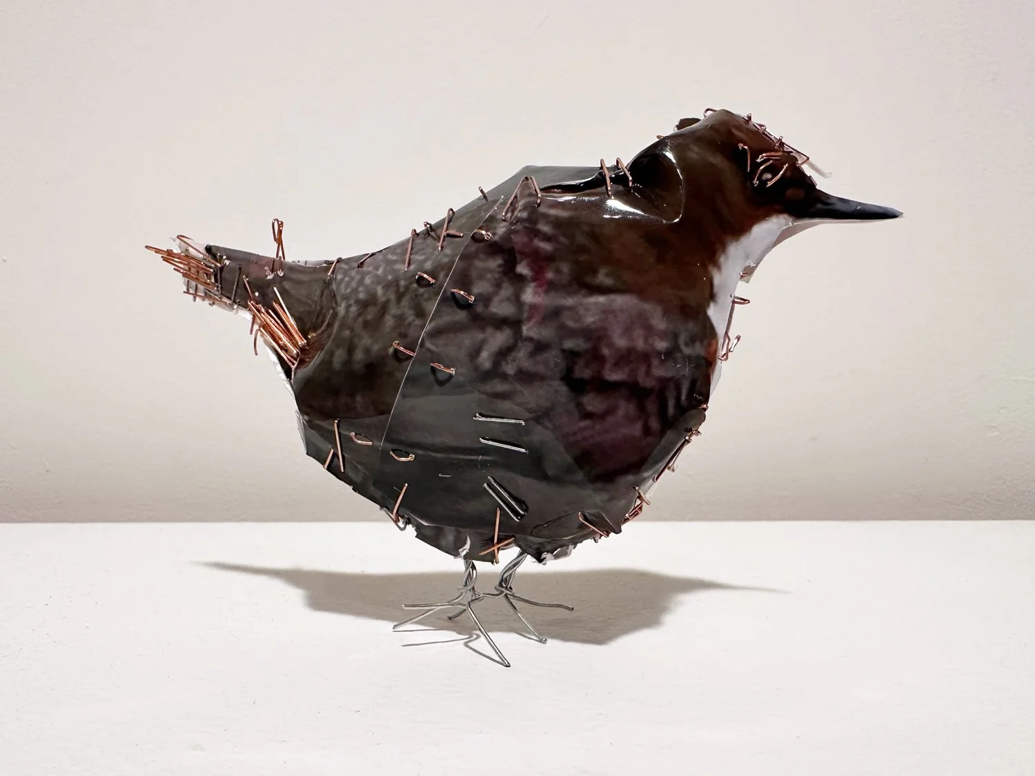 hatt_little-bird-3_1.jpg