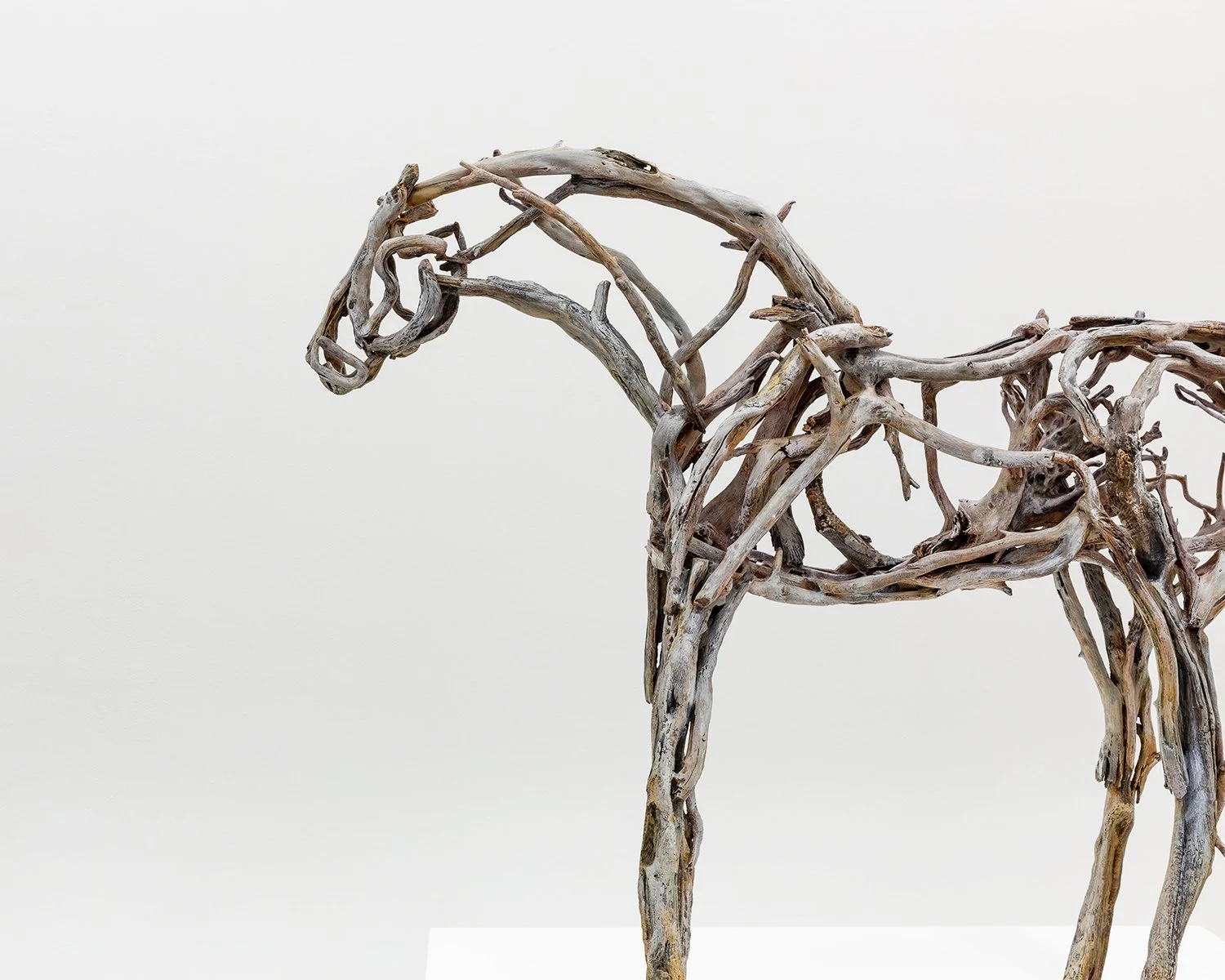 5481.1_Butterfield_Small-Horse-3920_Final-Approval_012.jpg