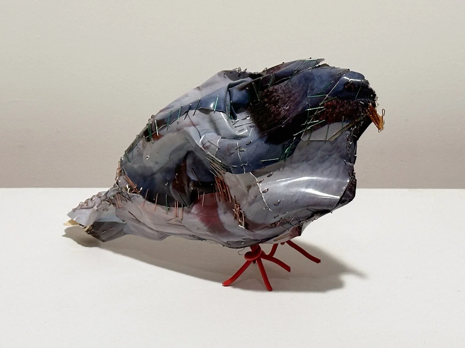 hatt_pigeon-#23_1.jpg