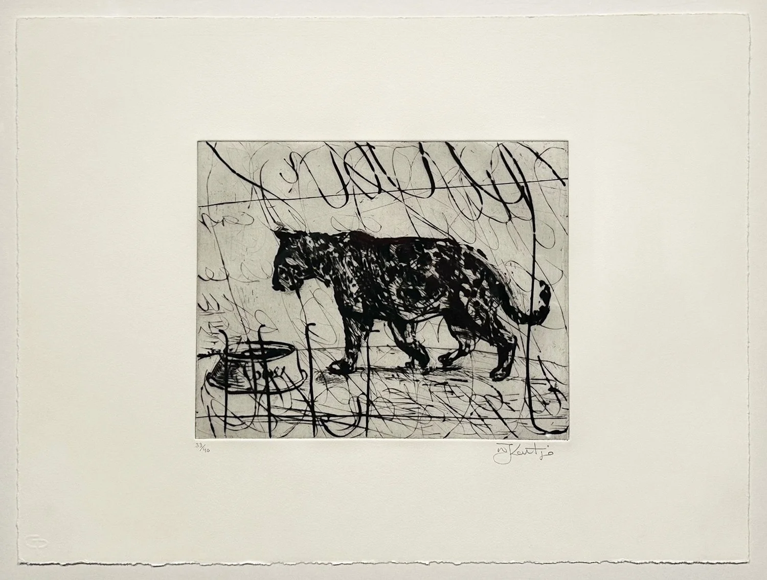 PACING PANTHER, 2003