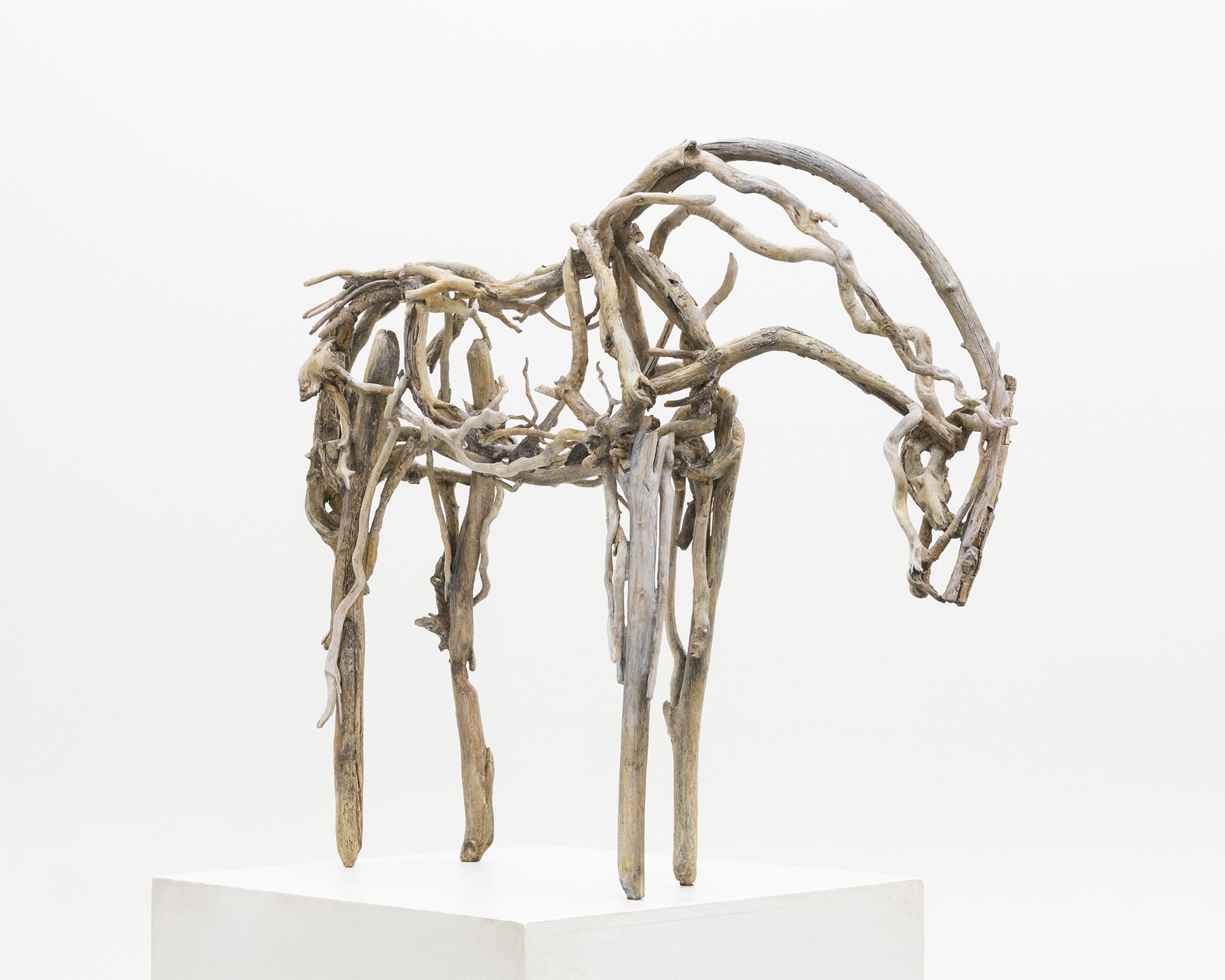 KIKI'O (TO SETTLE, #38), 2019-2020