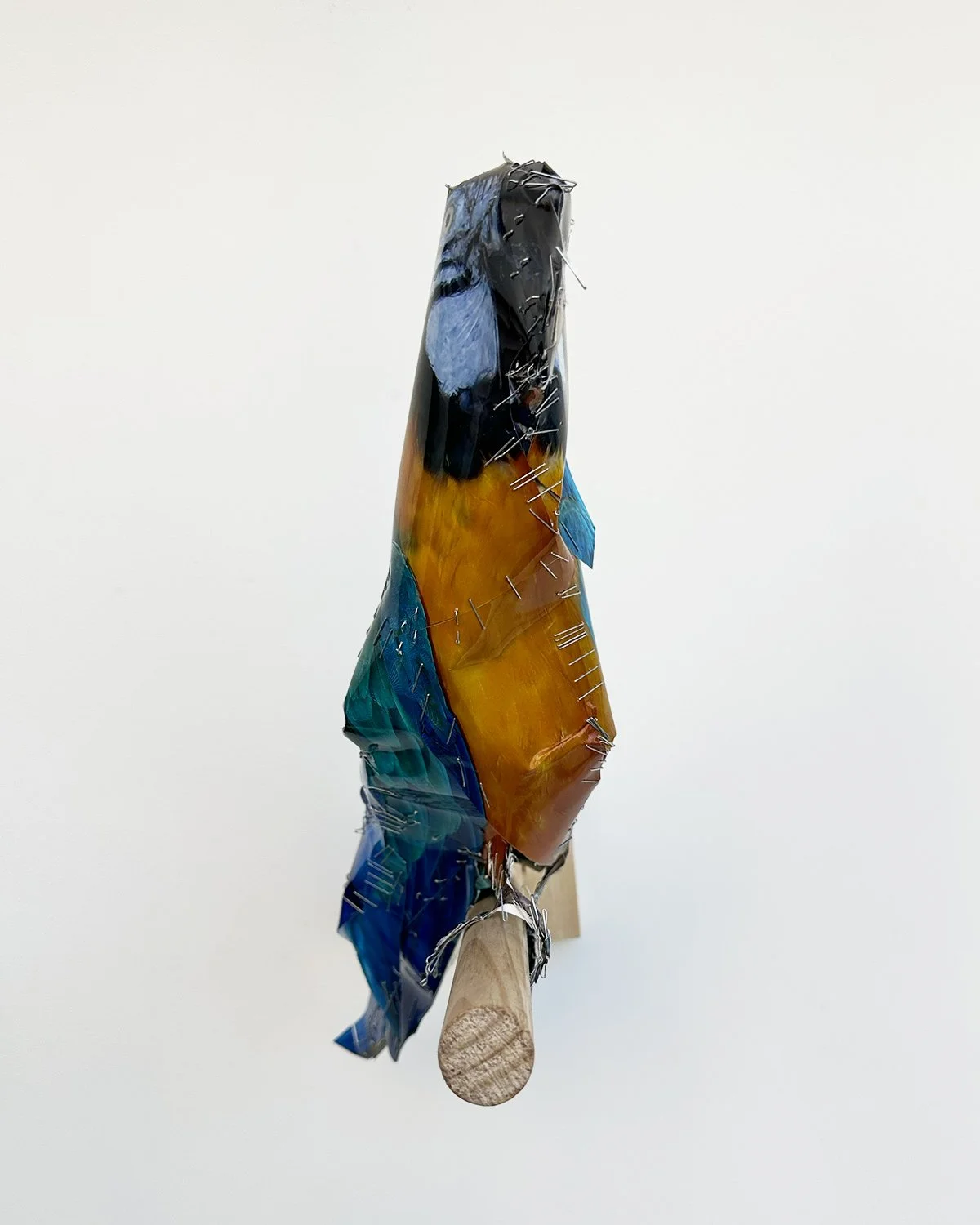 hatt_PARROT_2026_2.jpg
