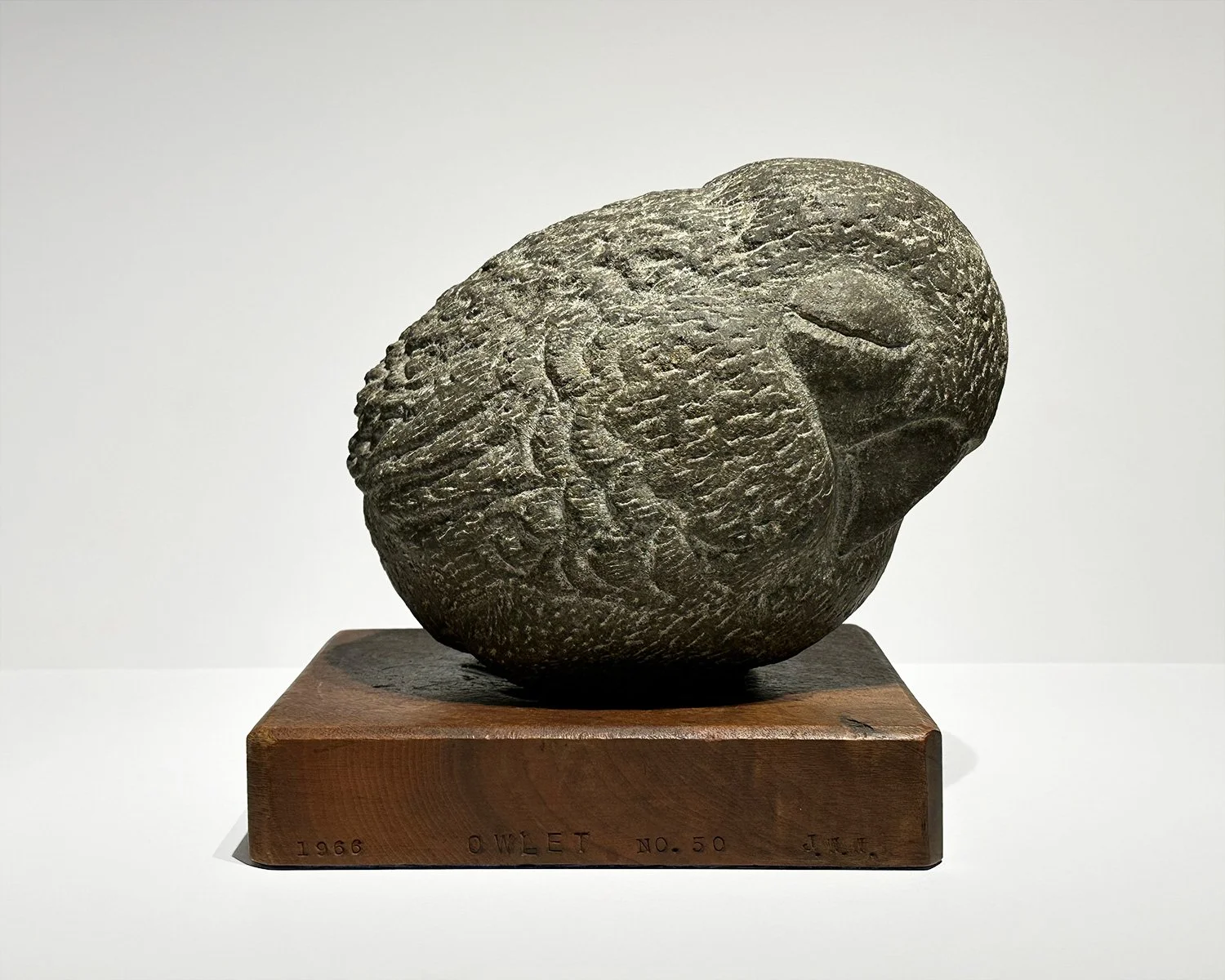 OWLET NO. 50, 1966