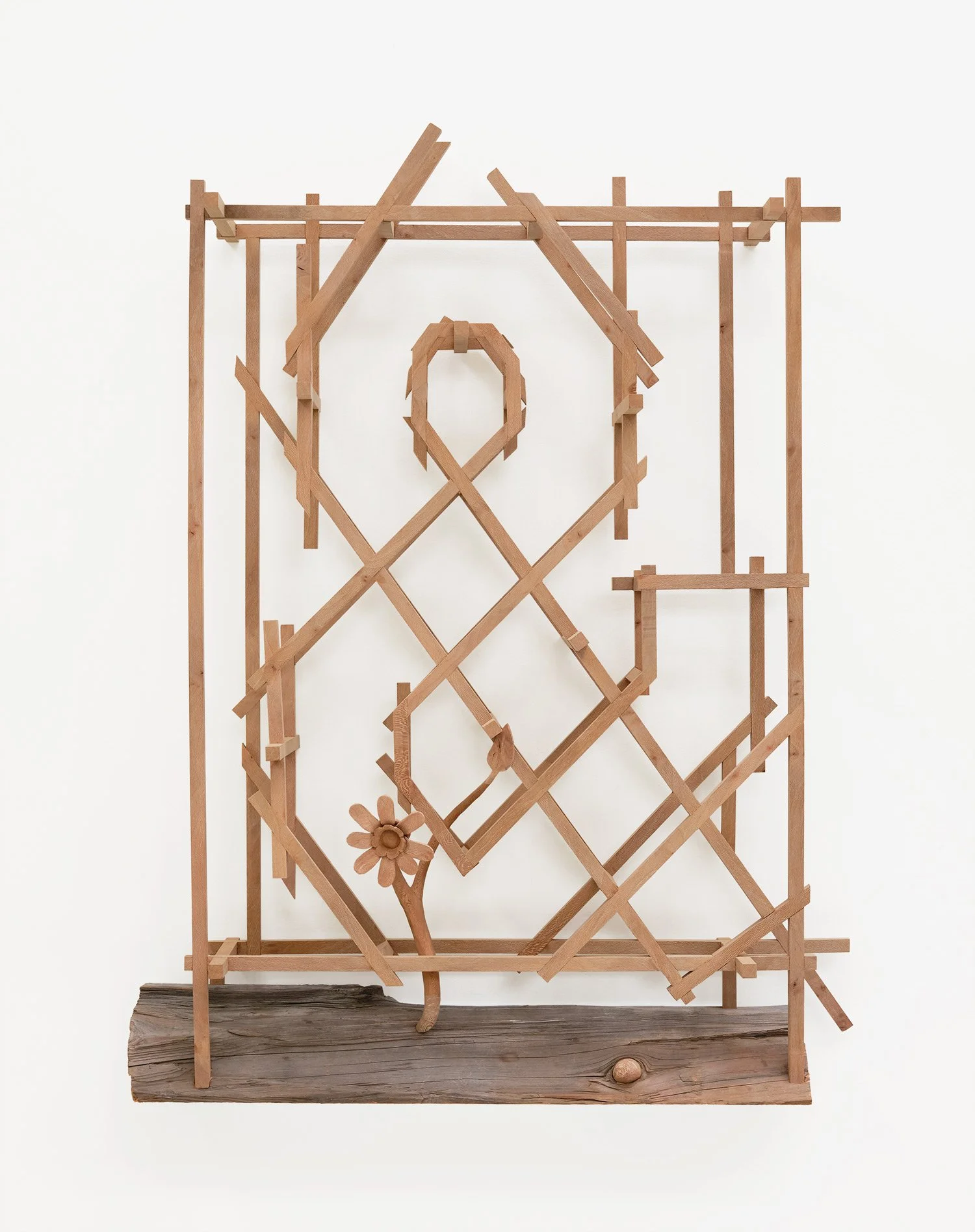 Webb_and-TRELLIS_2025.jpg