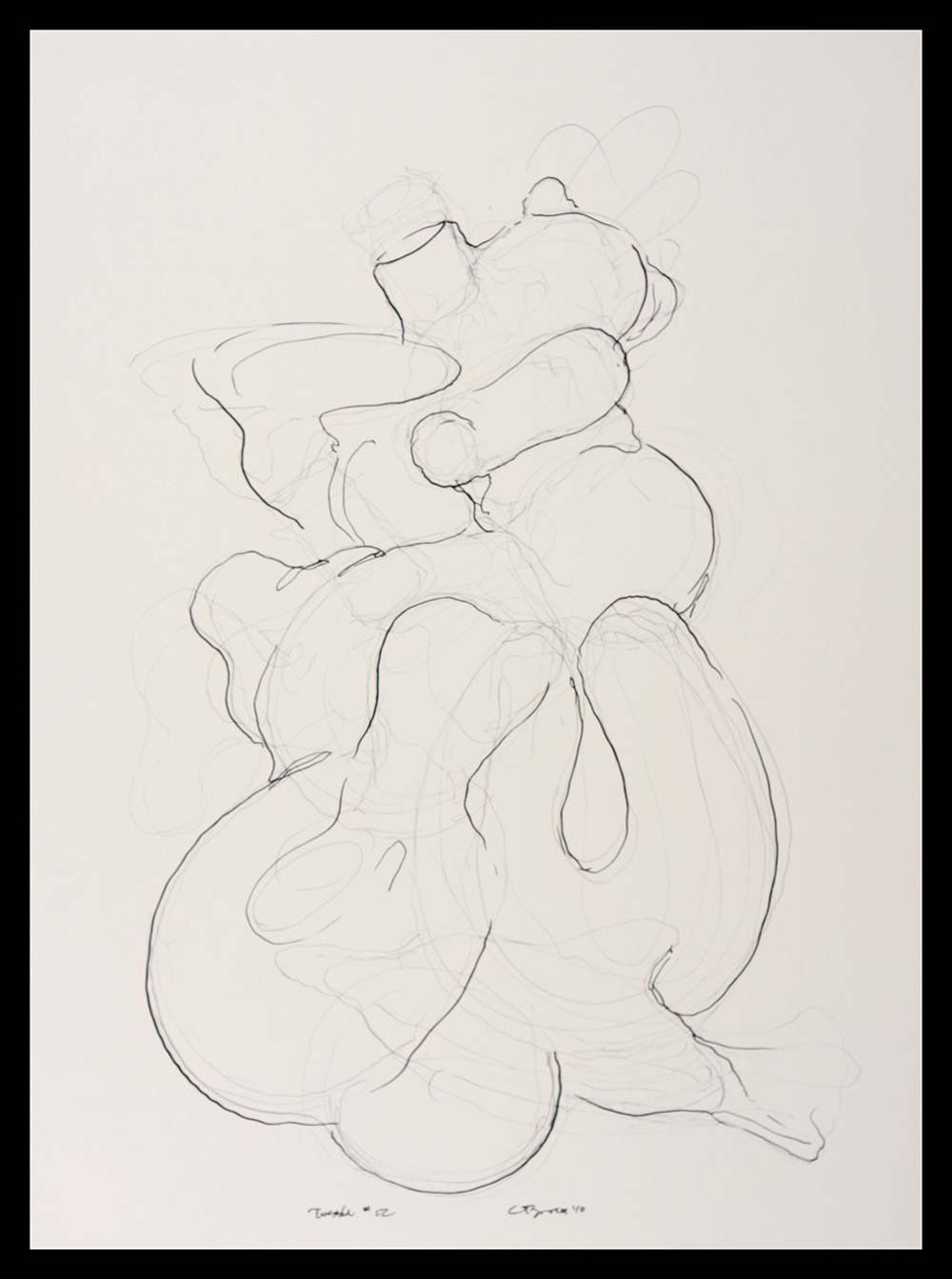 TUSSLE #12, 2010