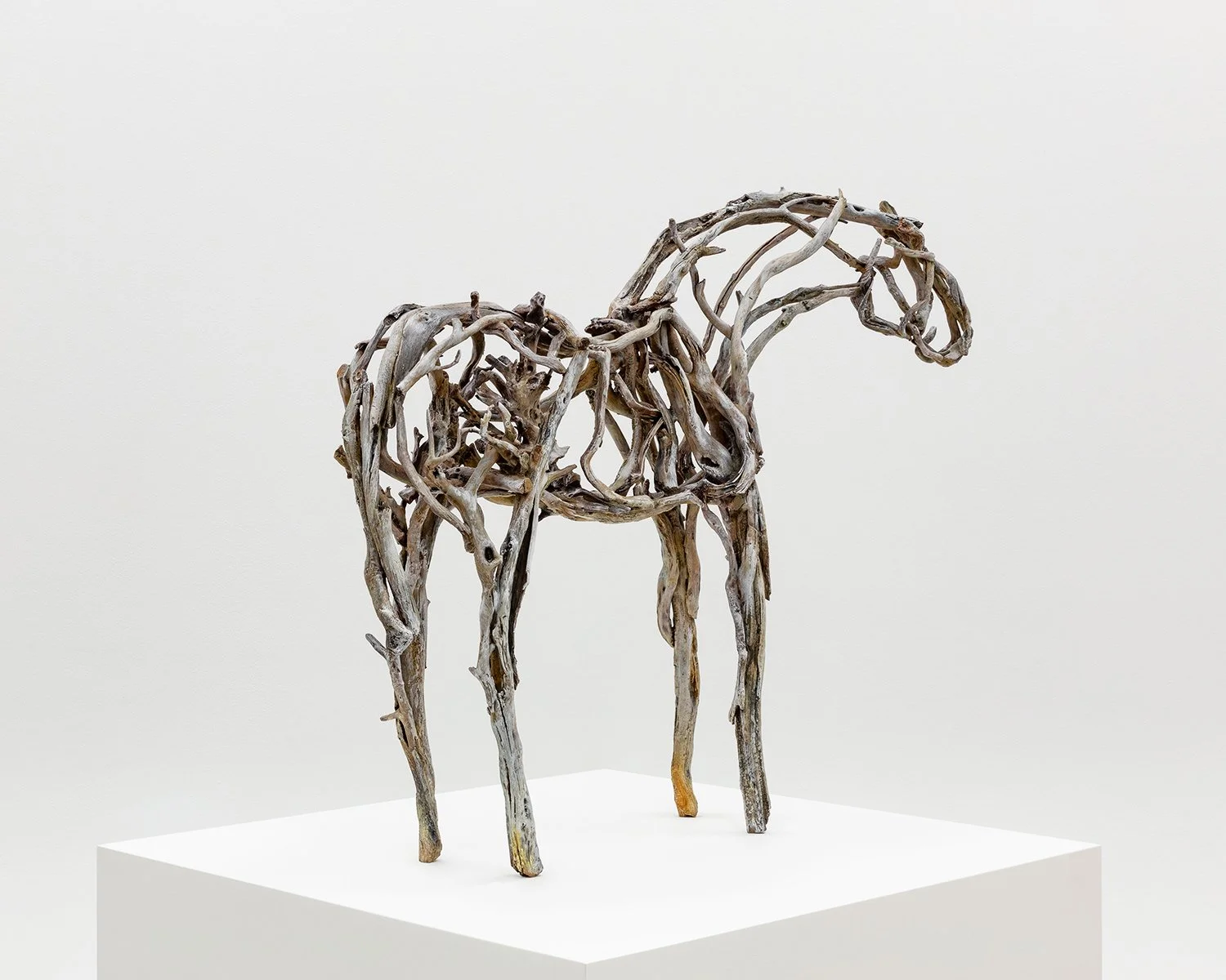 5481.1_Butterfield_Small-Horse-3920_Final-Approval_007.jpg