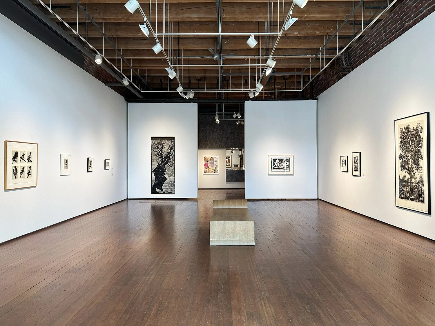 Kentridge_Works-On-Paper-2000-2018_install-2.jpg