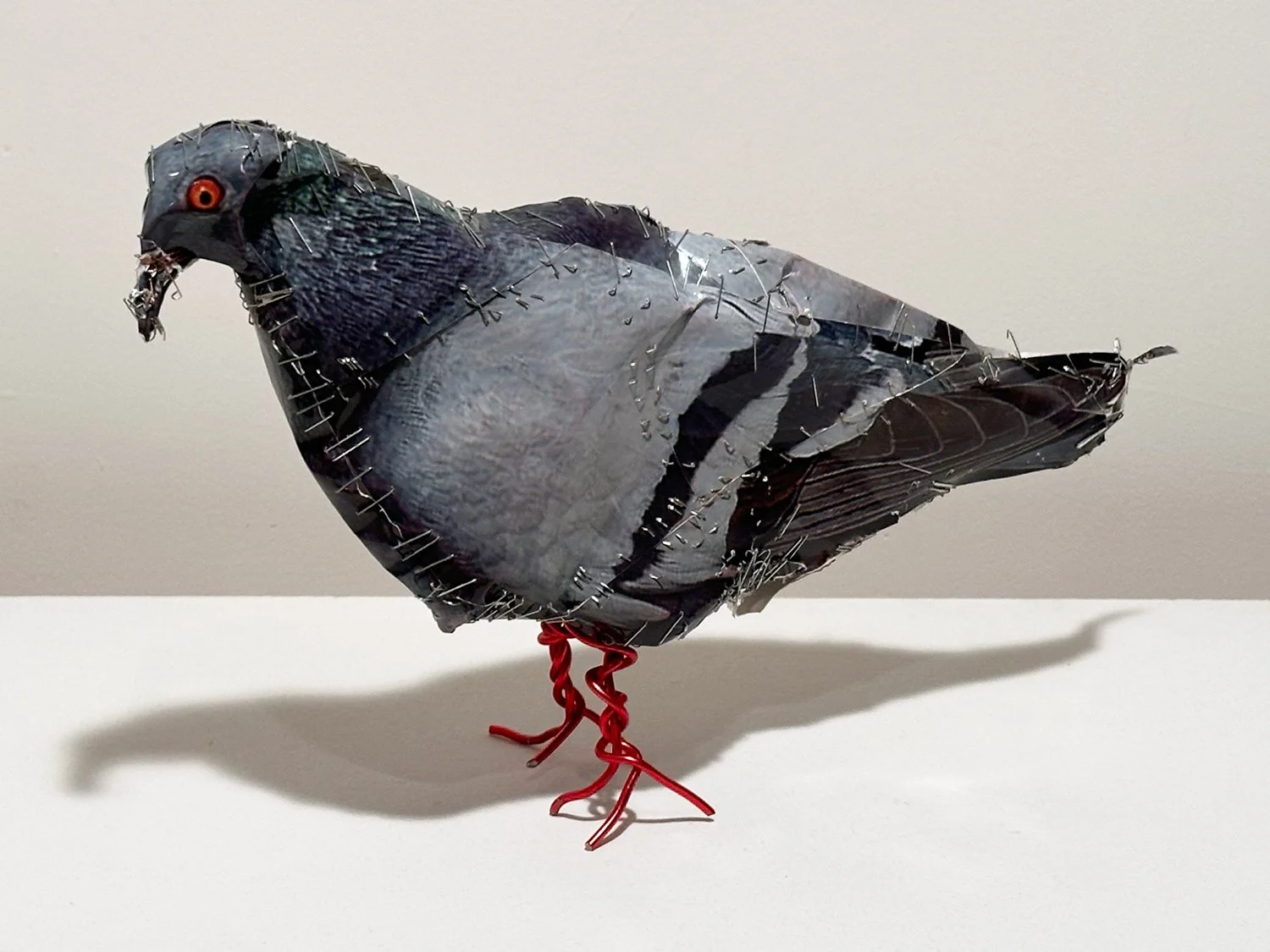 hatt_pigeon-15_2.jpg