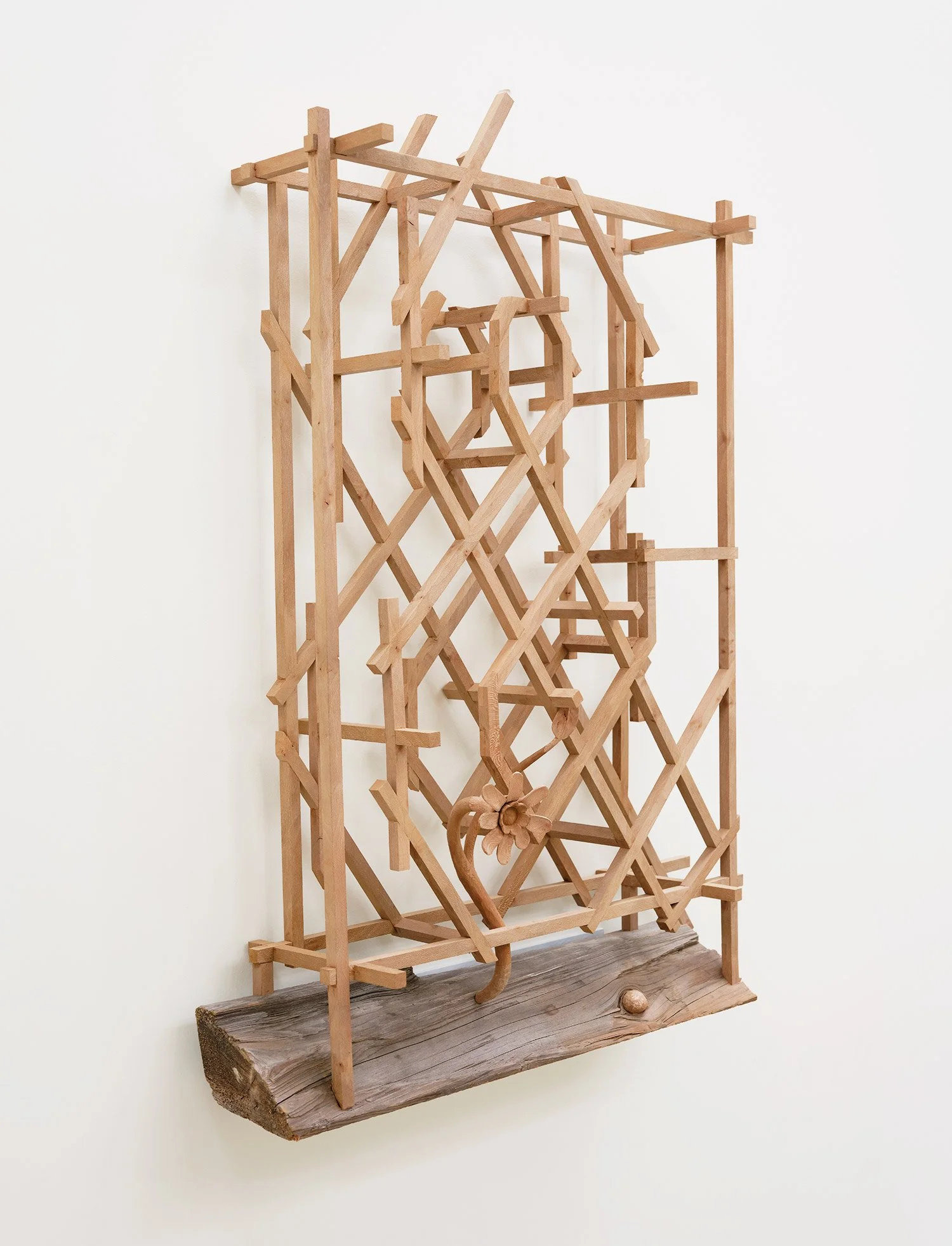 Webb_and-TRELLIS_2025_left.jpg