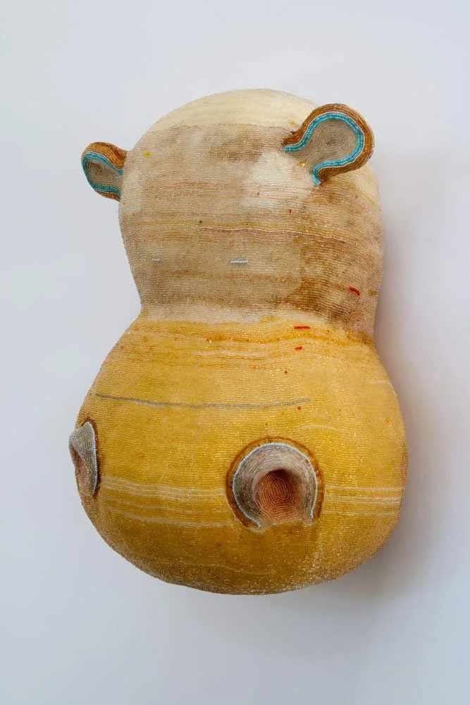 HIPPO, 2013