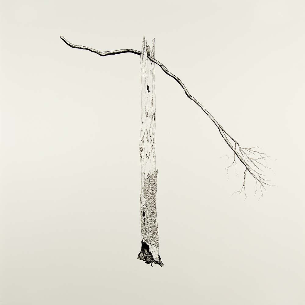 DRAWING 4 (TREE), 2013