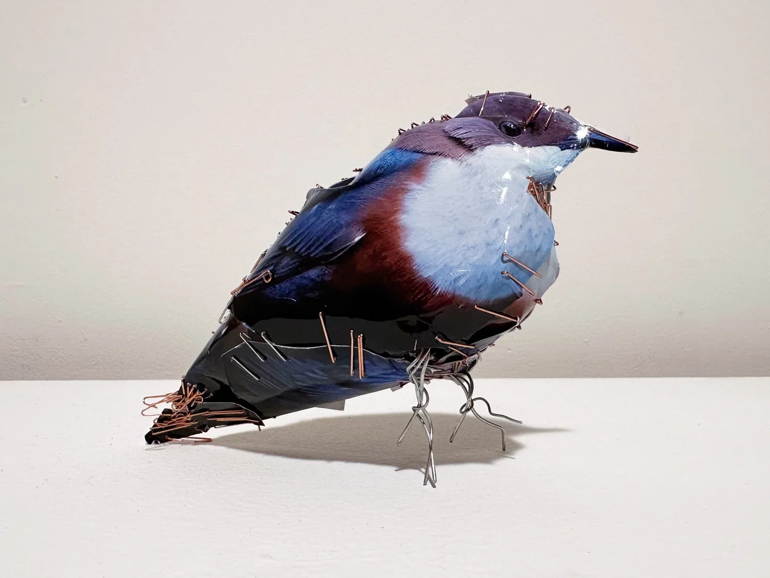 hatt_little-bird-2_1.jpg
