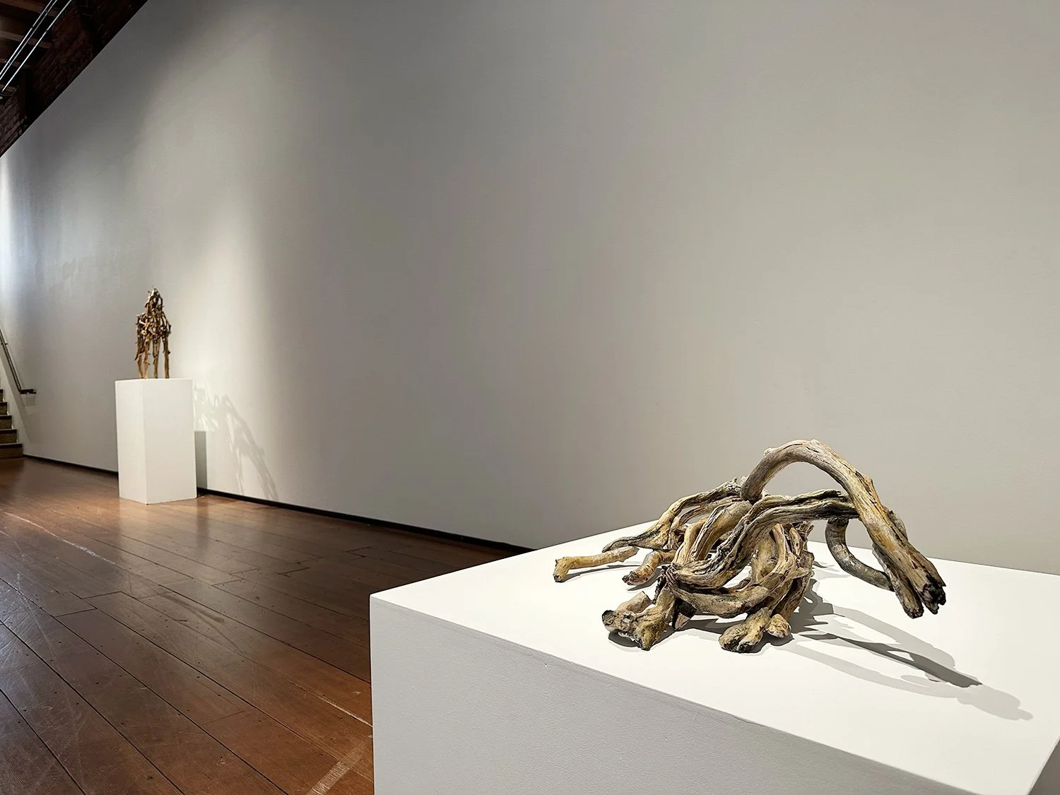 Deborah-Butterfield_Sculptures-2026_install-10.jpg