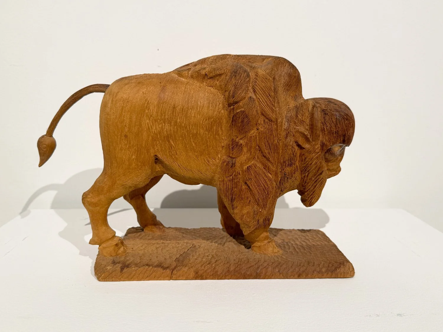 childers_bison_5.jpg