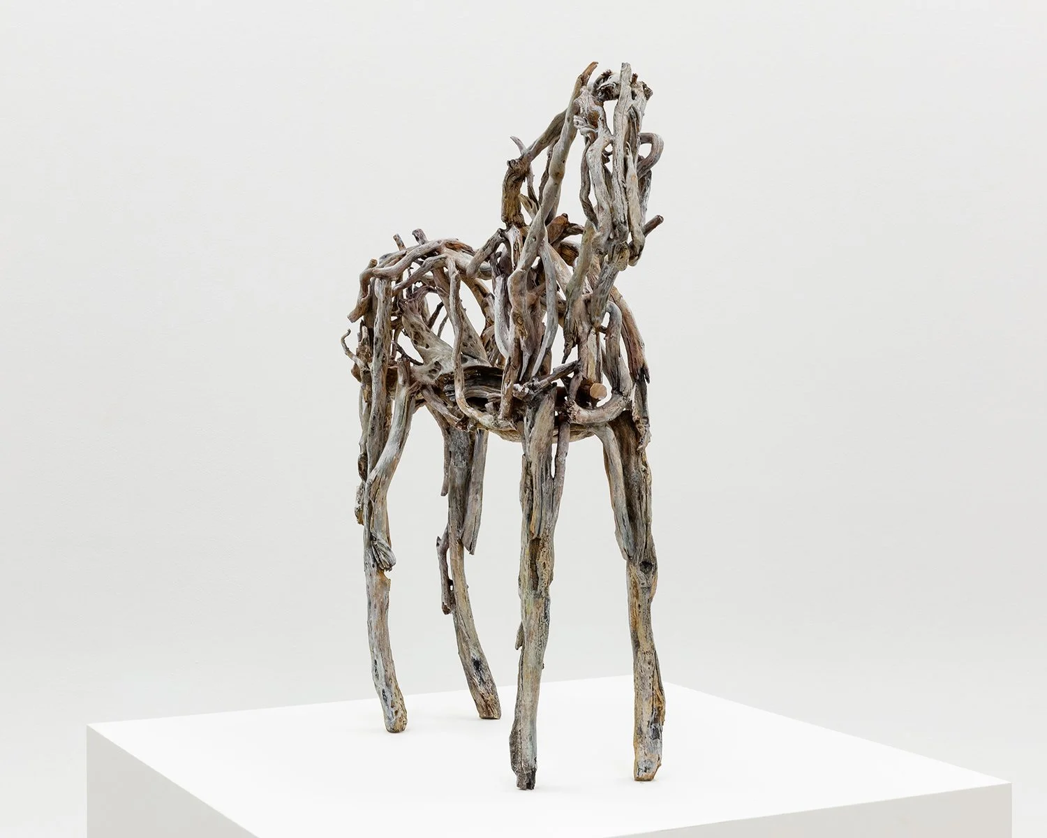 5481.1_Butterfield_Small-Horse-3920_Final-Approval_010.jpg